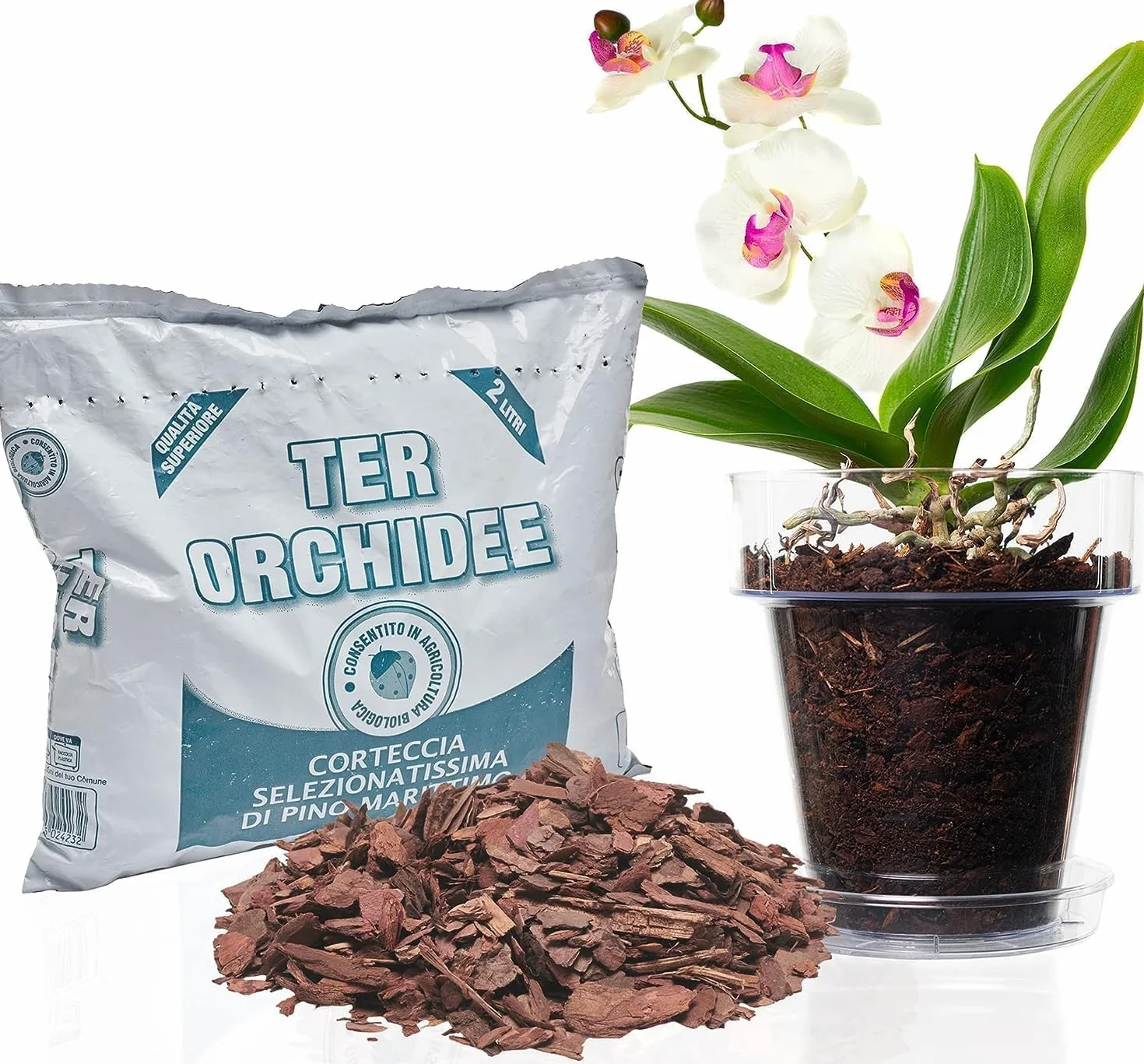 Kit de rempotage d'orchidées Ø 16 cm - Pot transparent avec drainage, soucoupe et substrat