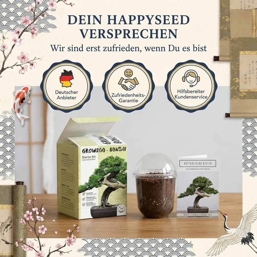 Kit Bonsai GROW2GO avec mini-serre, graines et terre - Pin Australien