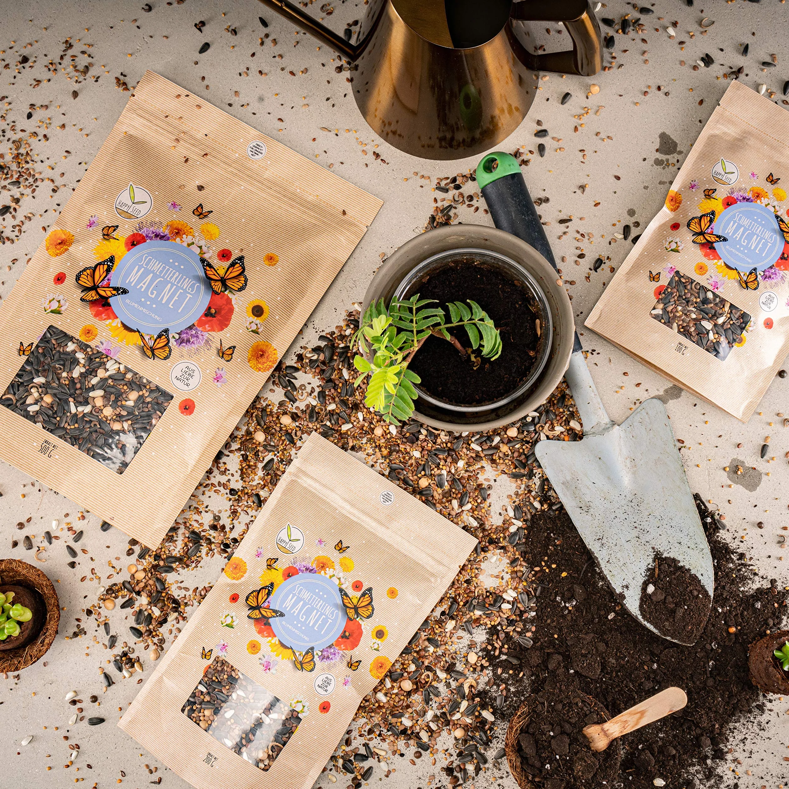 Graines de prairie à papillons 500 g - Mélange de fleurs sauvages riches en nectar