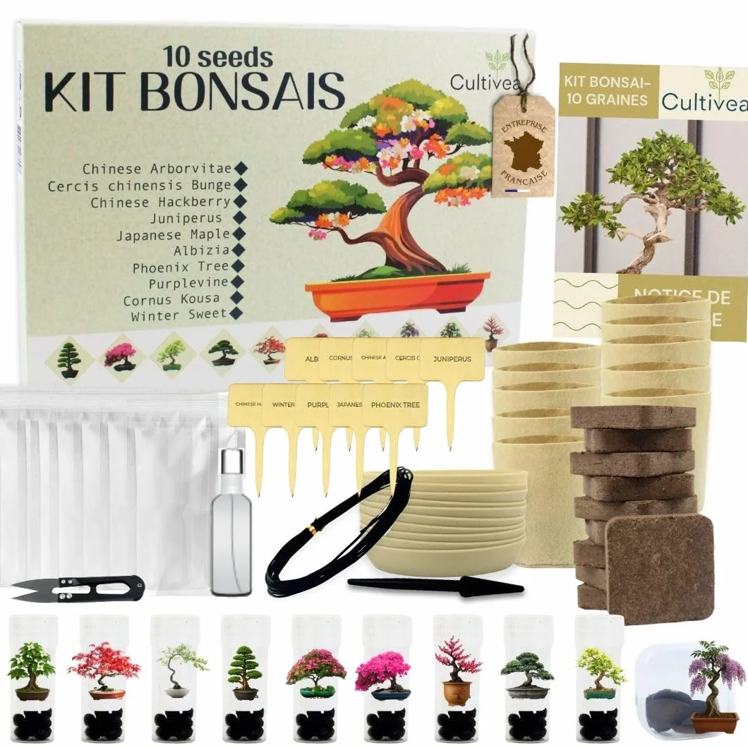 CULTIVEA® Kit Bonsai Prêt à Pousser – Coffret Complet Graines Pots Outils Notice – Jardinage Intérieur