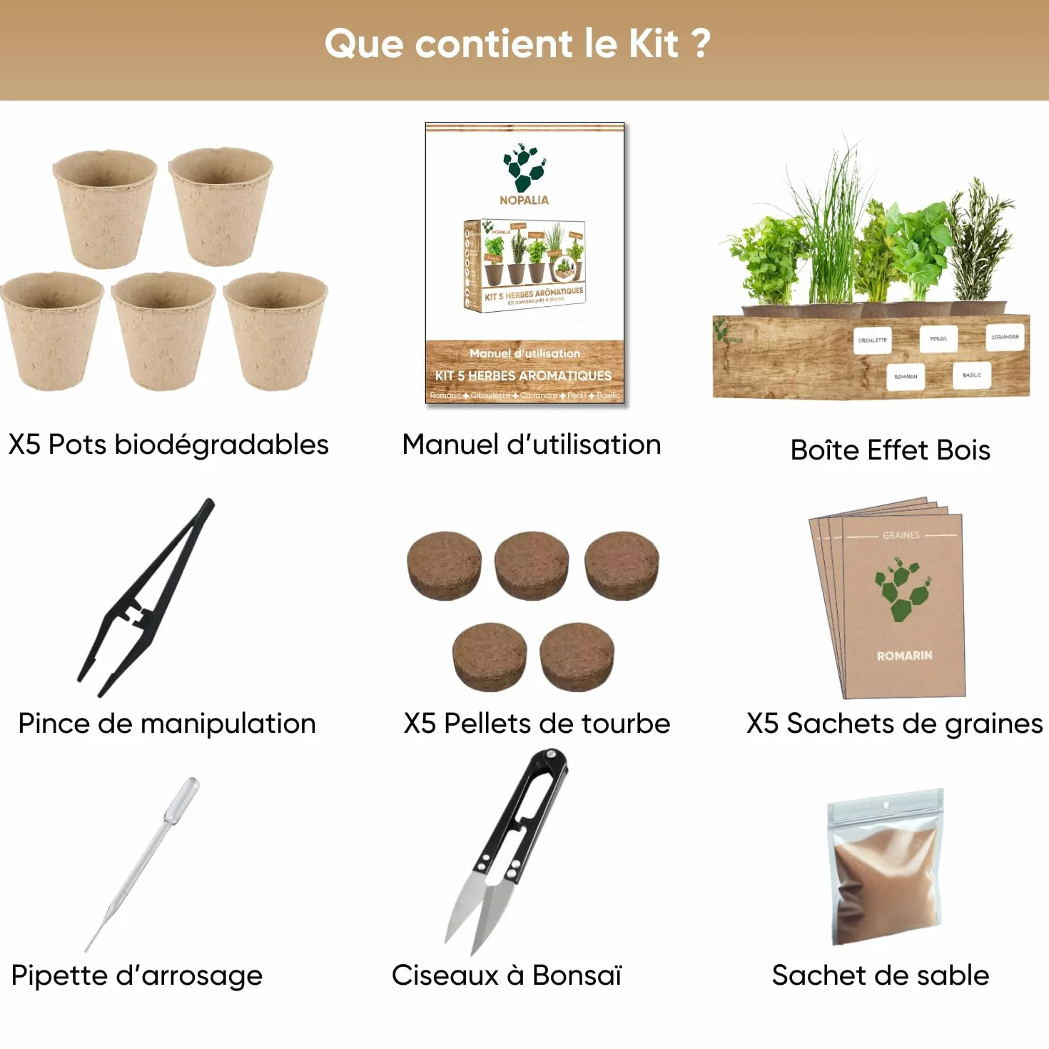 NOPALIA® Kit Herbes Aromatiques Bio Prêt à Pousser 5 Variétés Pots Biodégradables Cadeau Cuisine