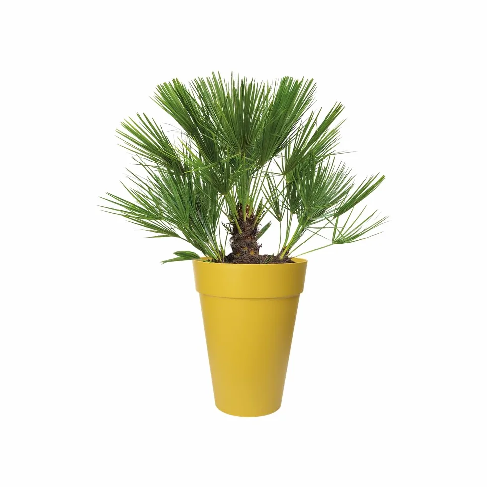 Elho Loft Urban Rond Haut 35 Pot De Fleurs Extérieur Ø 33.5 x H 45.3 cm Jaune Ocre