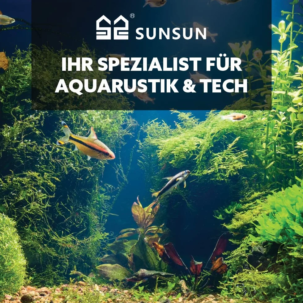 SunSun CPF-180 Filtre de bassin à pression 6000 L UV-C 11W CTF-3800 SuperECO pompe 3600l/h 20W Tuyau 25 mm (1")