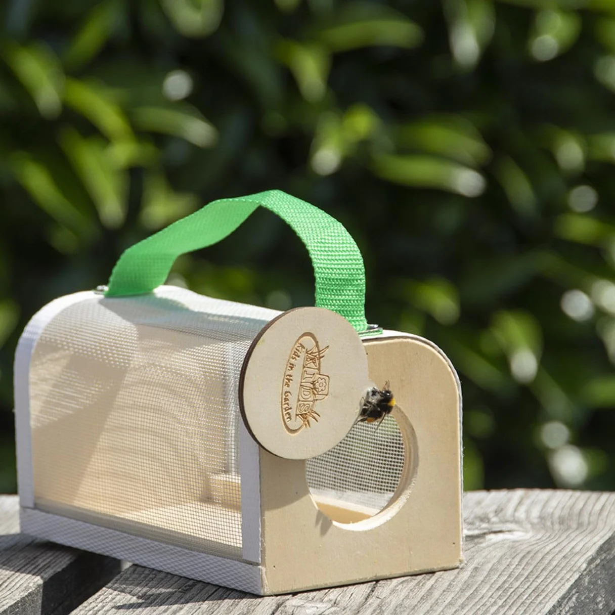 Esschert Design Boîte d'observation des Insectes Bois KG229