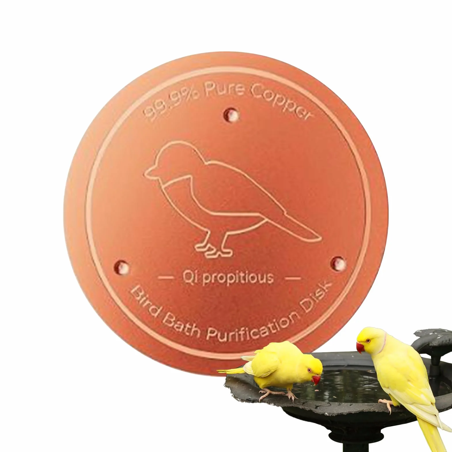 Disque de purification en cuivre pour bain d'oiseaux avec support à trois points – Purificateur d'eau pour jardin