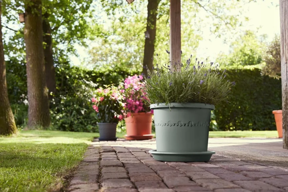 Elho Soucoupe Universel Ronde 30 Ø 30 x 4.5 cm Vert/Thyme Green