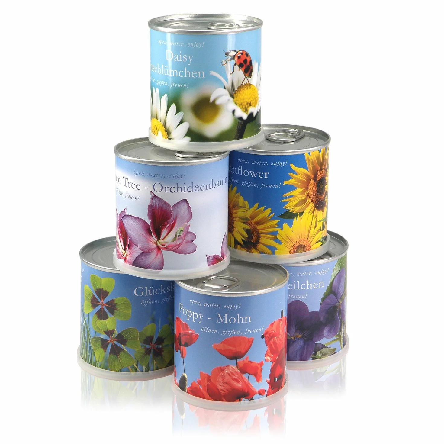 Frangipanier – Plumier de macflowers dans la boîte