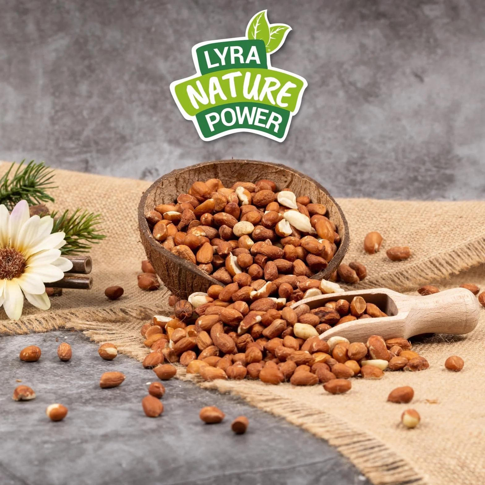 Graines de cacahuètes avec Peau 25 kg pour Oiseaux Sauvages Lyra Pet