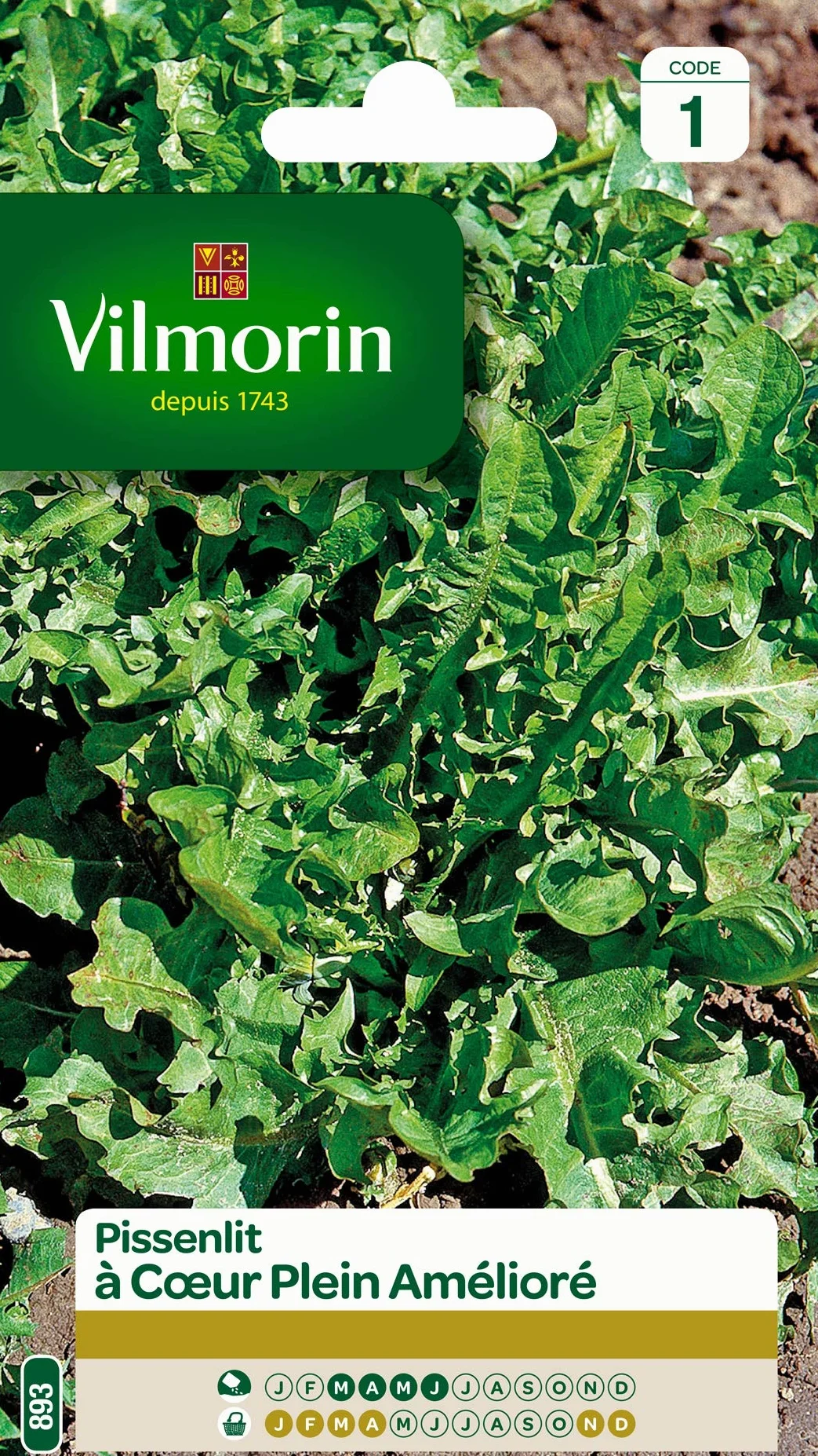 Vilmorin Pissenlit cœur Plein Plante très Productive Forme compacte