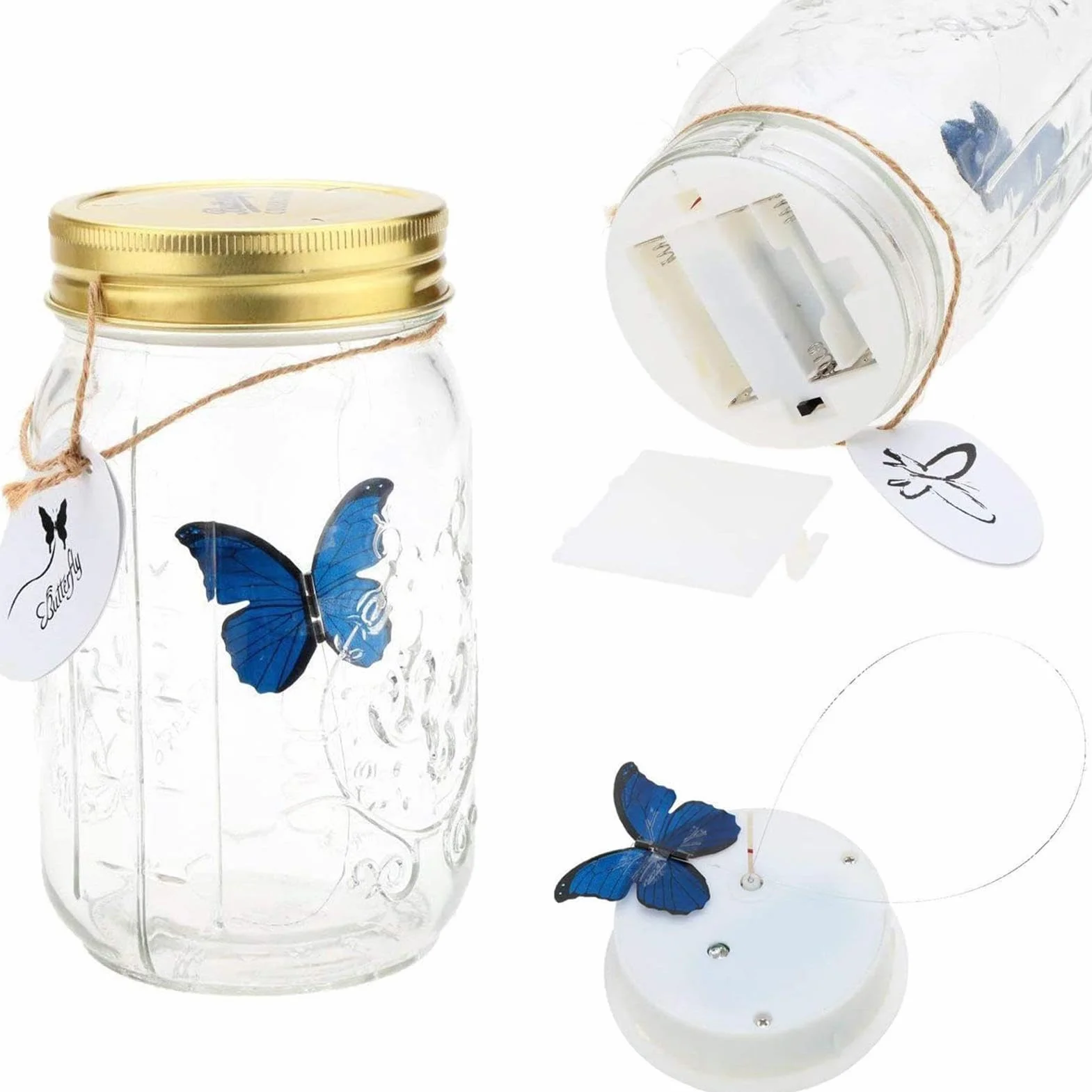 Pot de collection de papillons - Conteneur d'affichage d'insectes avec papillon animé à piles