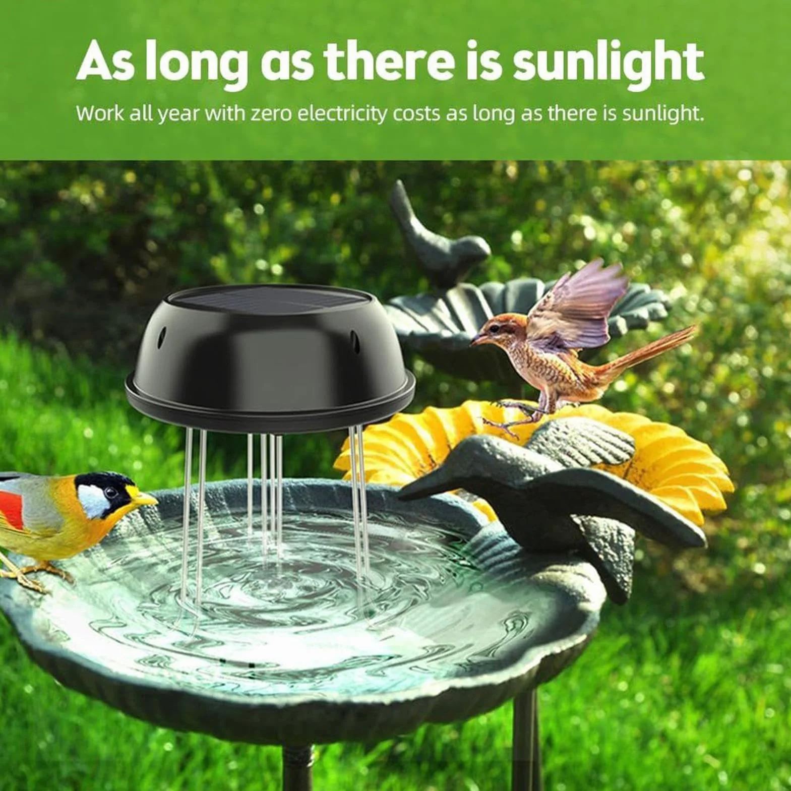 Pompe de circulation d'eau solaire 0.5 W pour bain d'oiseaux, décoration d'étang de jardin
