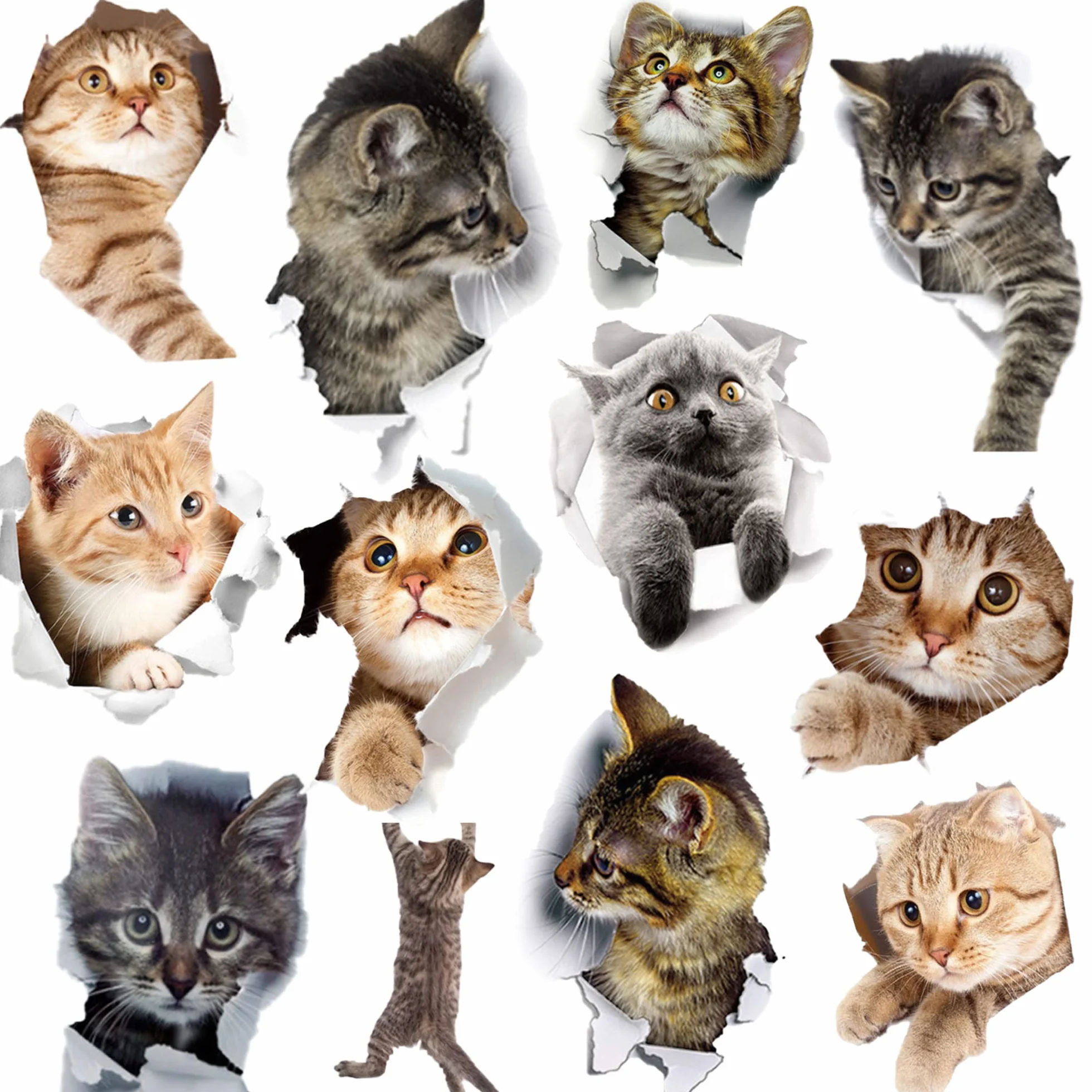 Lot de 12 autocollants 3d en forme de chats mignons pour réfrigérateur - Amovibles - Décoration maison