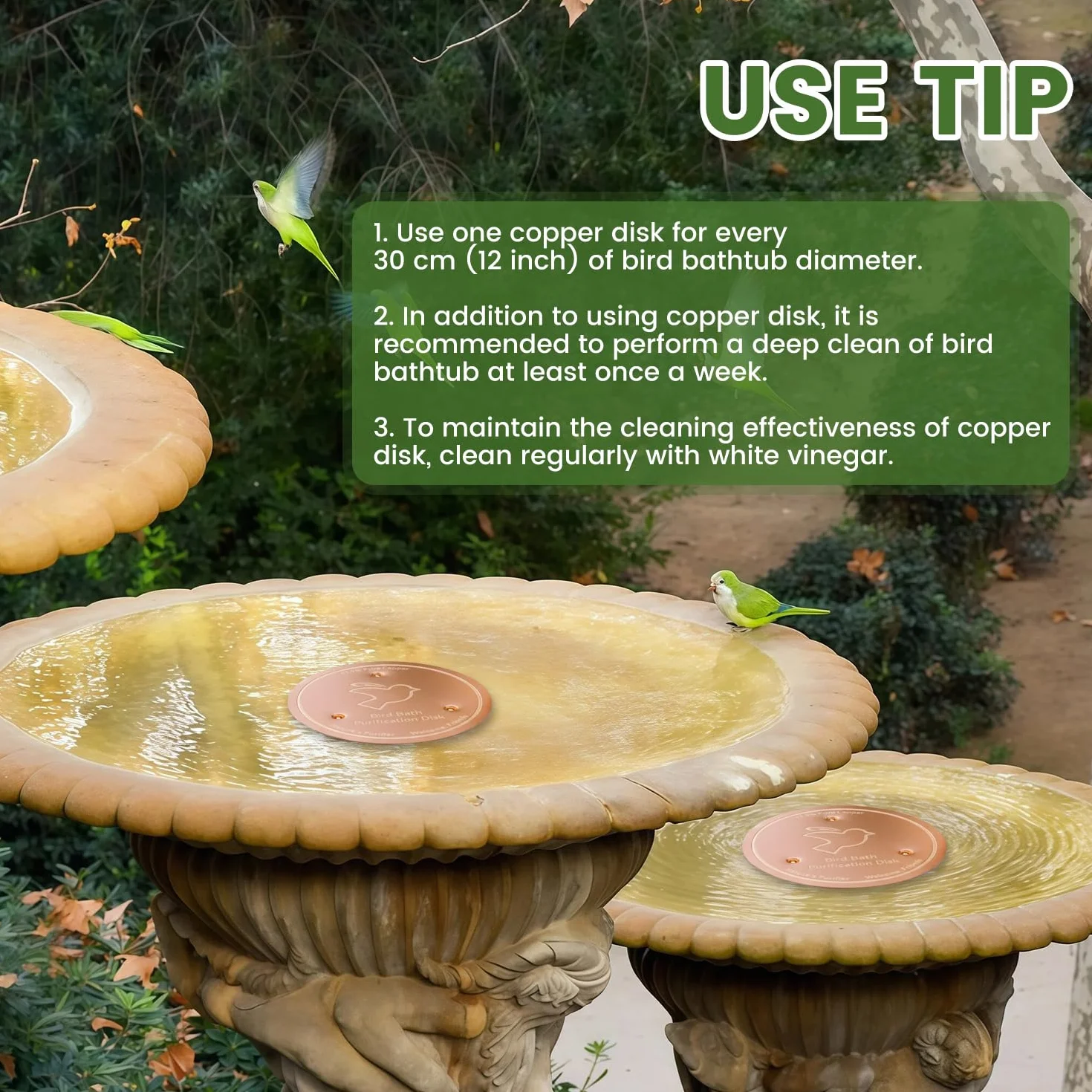 Plaque de Cuivre Pur 99,99% 0,6 mm Disque de Purification pour Bain d'oiseaux