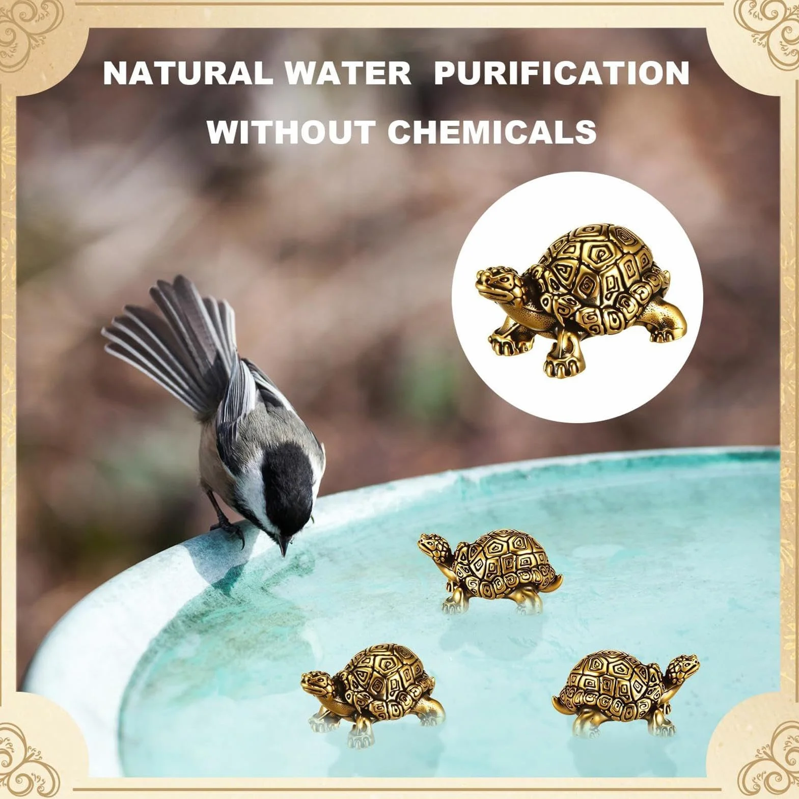 Pastilles nettoyantes pour bain d'oiseaux – Disques de purification minérale respectueuse de l'environnement