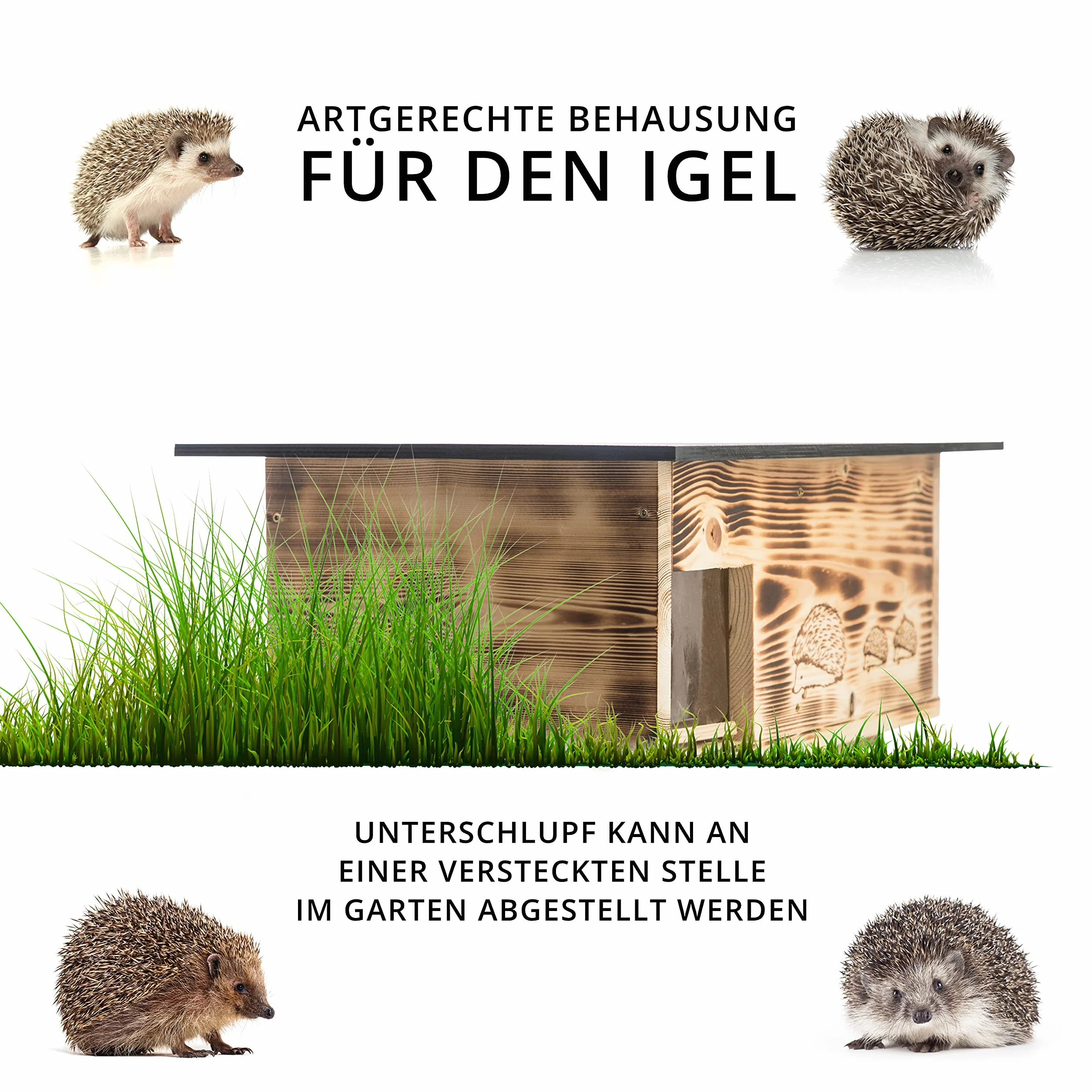 Hôtel pour hérisson XXXL IG2 Maison avec entrée Labyrinthe et clapet Fond et Toit amovible