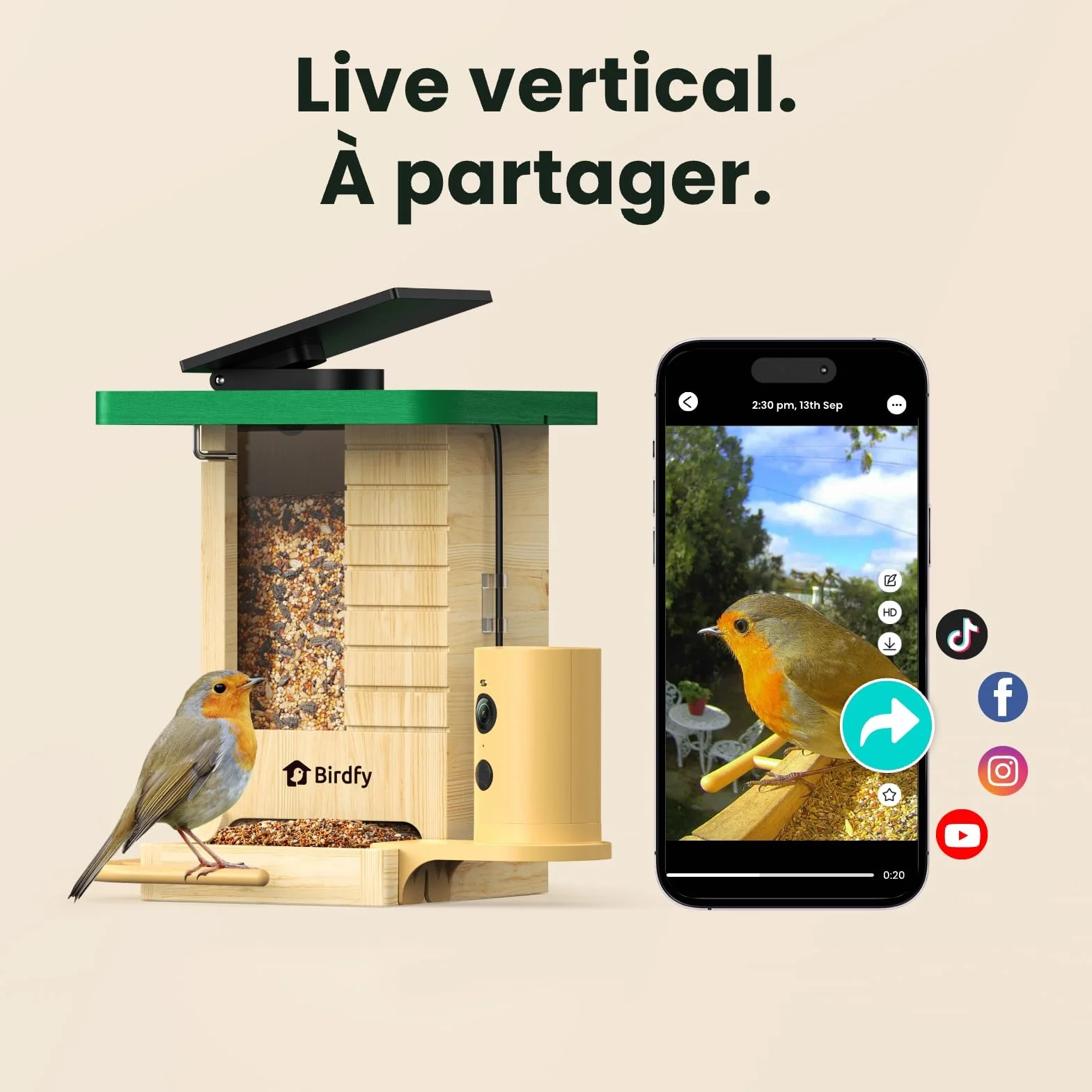 Mangeoire Oiseaux Caméra Birdfy Connectée en Bois avec Caméra Solaire IA 6000+ espèces 1080p