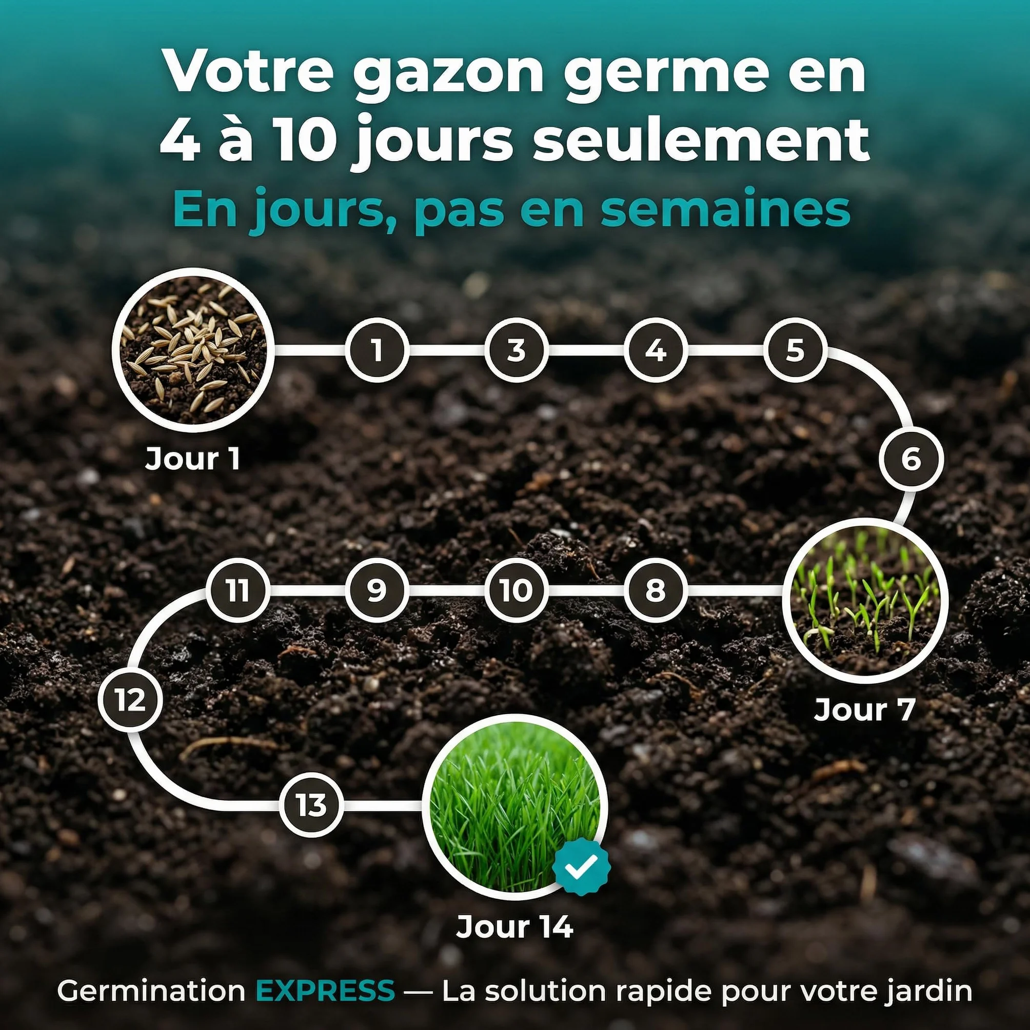 LERAVA Gazon à Semer EXPRESS 30m² Graines de Gazon Regarnissage Rapide Rustique Semence Gazon Ray Grass Résistante Pelouse Dense Jardin Sport Jeux