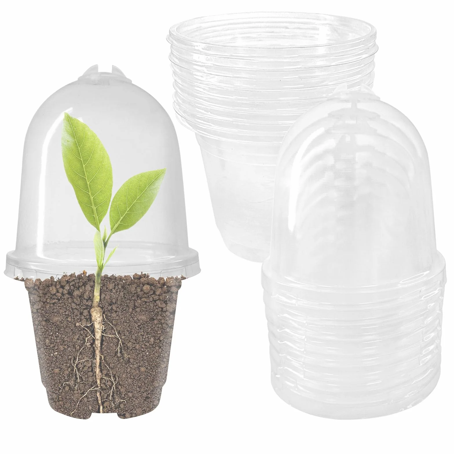 Pots de Semis 9cm Plastique Transparent Godets repiquage avec Trous de Drainage 12 Pièces