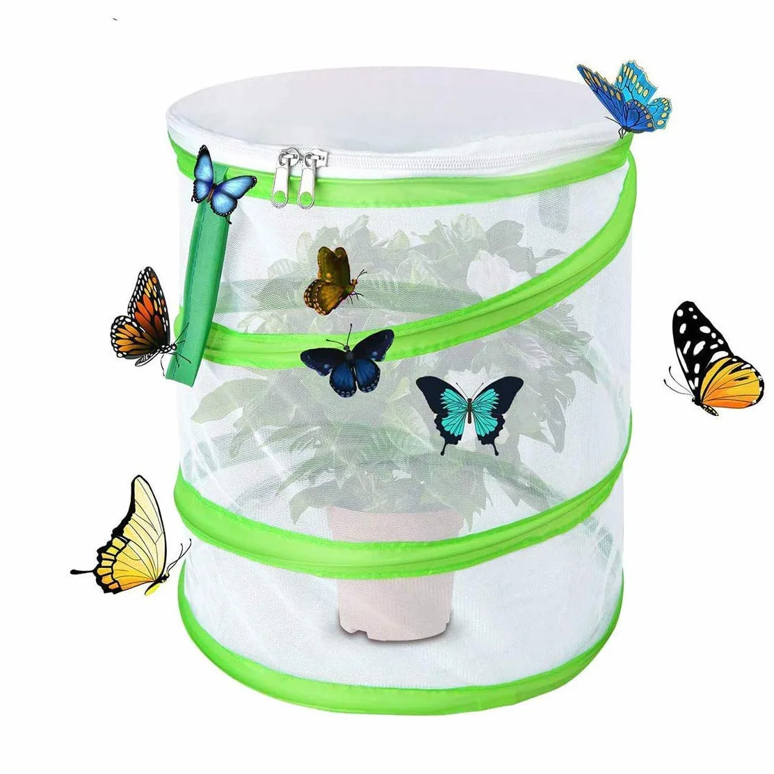 Pliable Cage Mesh pour Insectes et Papillons, Petite Taille