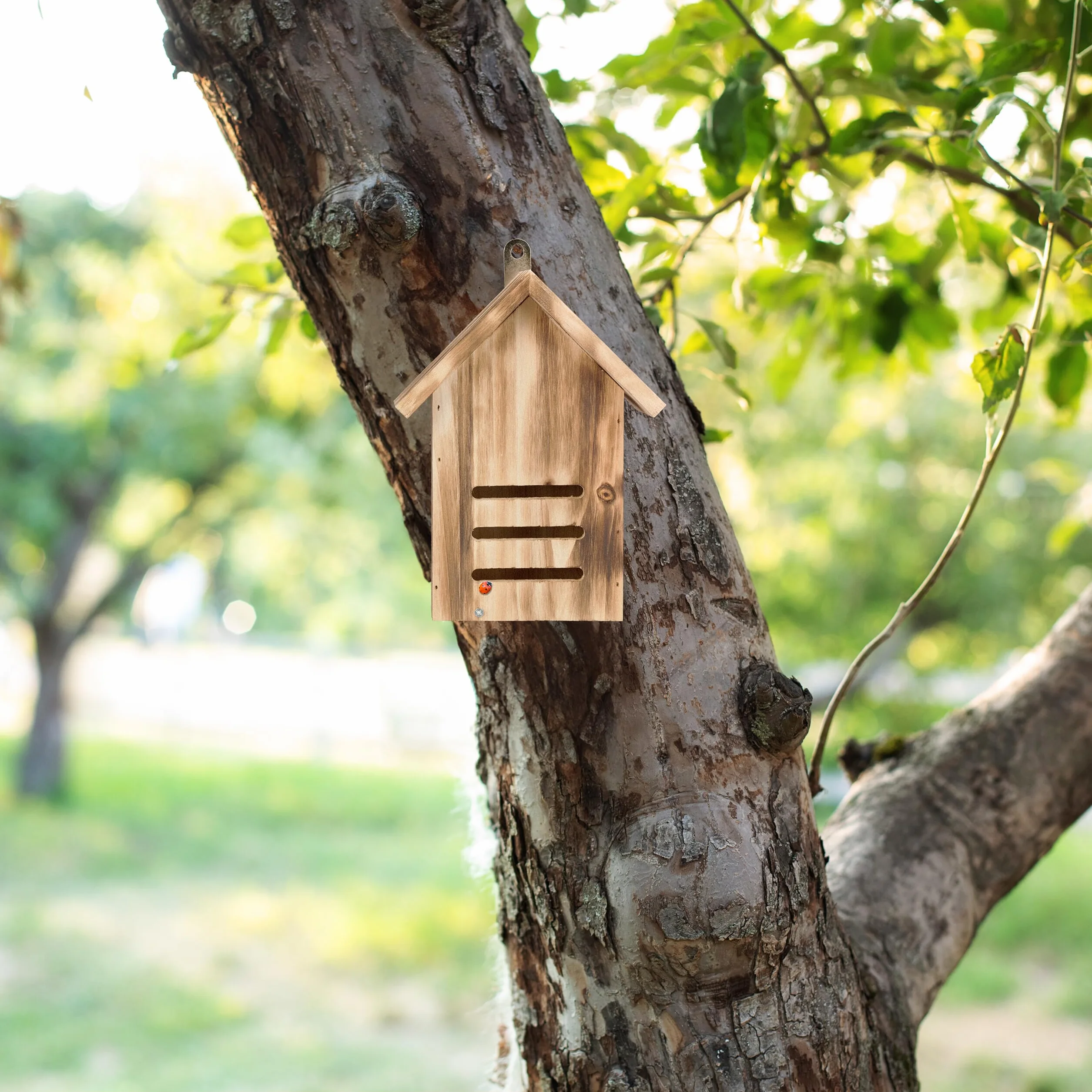 Relaxdays Hôtel à Insectes en Bois Non traité 22 x 17 x 10 cm Nature