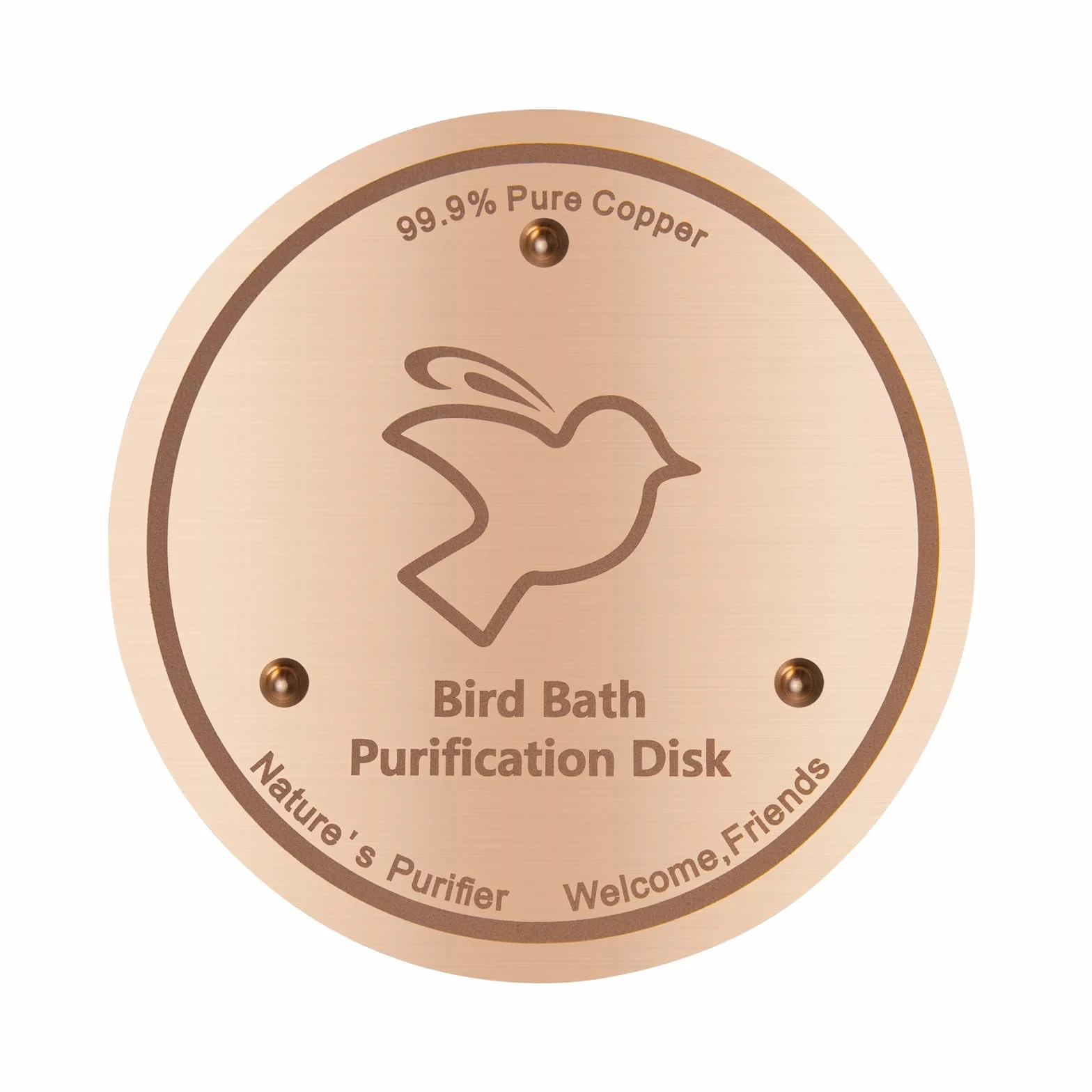 Disque de purification en cuivre 99,9% pur 0,6 mm épaisseur autonettoyant pour bain d'oiseaux