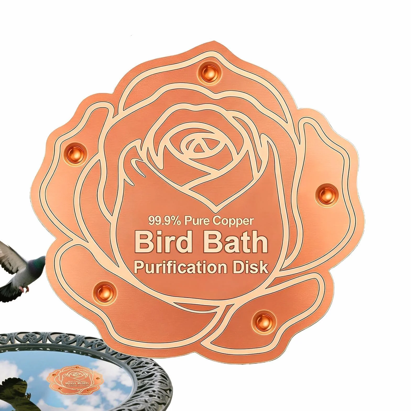 Disque de Purification en cuivre Design autonettoyant pour Garder l'eau fraîche Purification Toutes Saisons