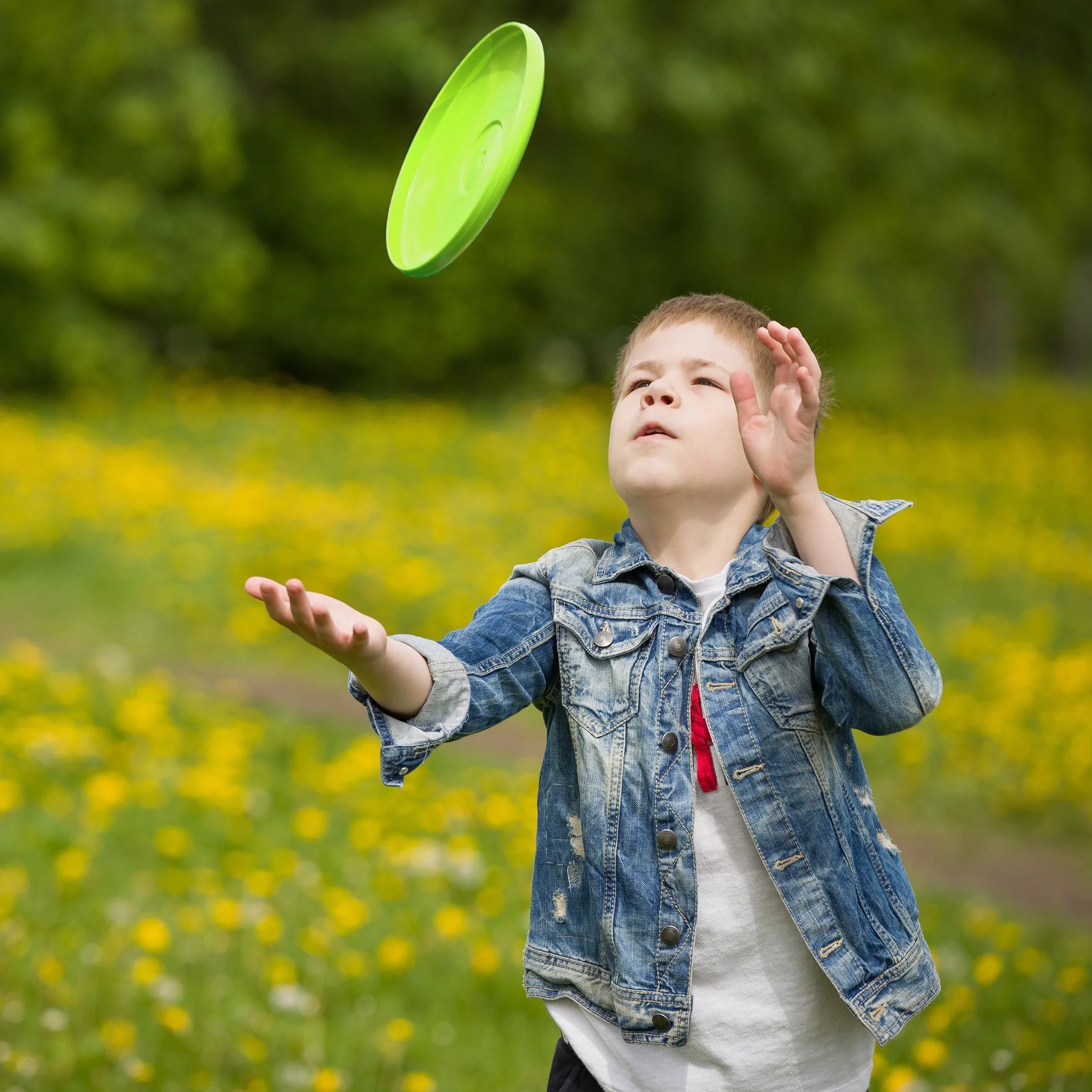 BRAMBLE 12 Frisbees, Soucoupes à Disque Volant, Freesbee pour Enfants, Adultes & Chiens, 23cm - Extérieur, Plage, Parc, Anniversaires, Cadeaux Invités