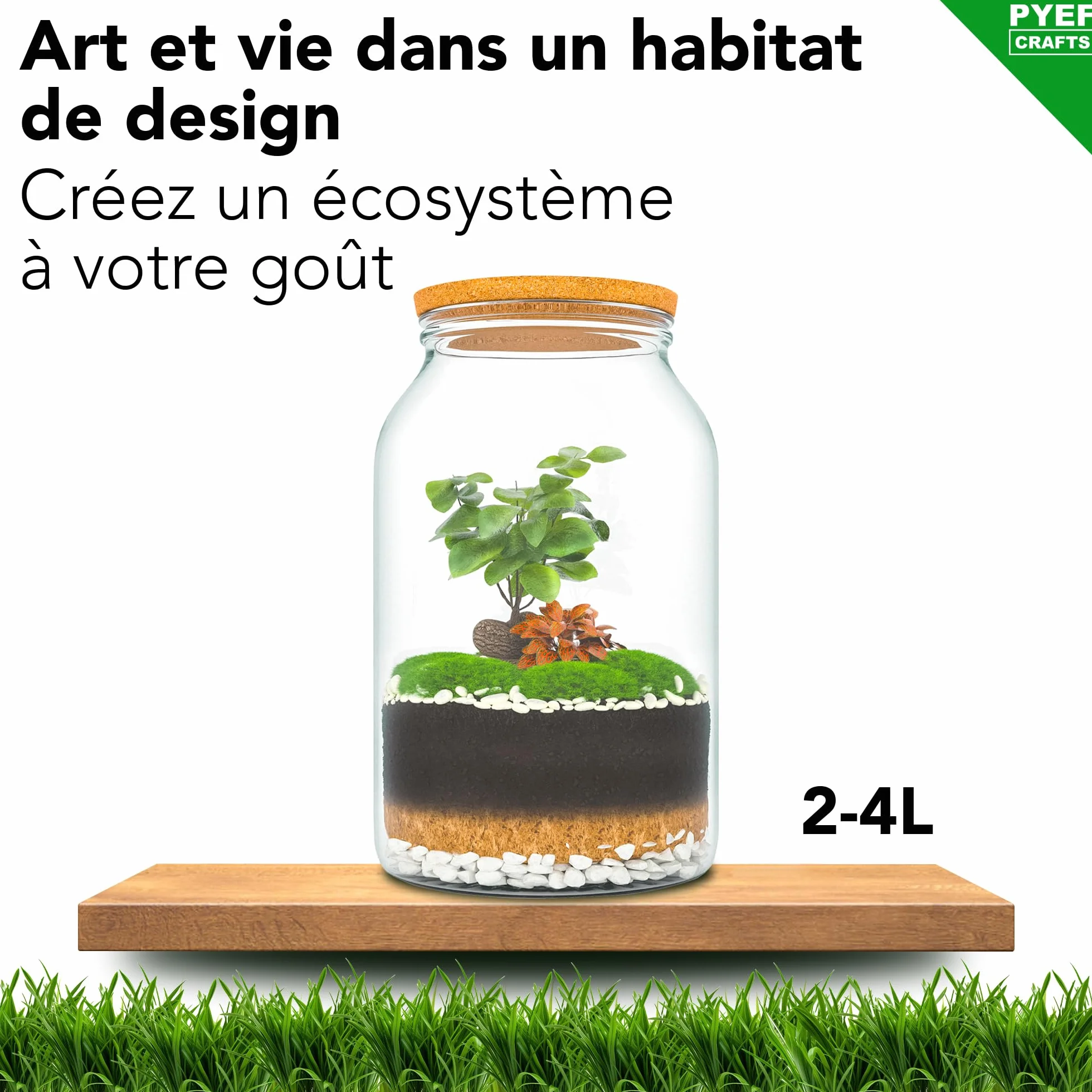 Kit Terrarium Plante DIY Prêt-à-Pousser Jardin en Bouteille XL