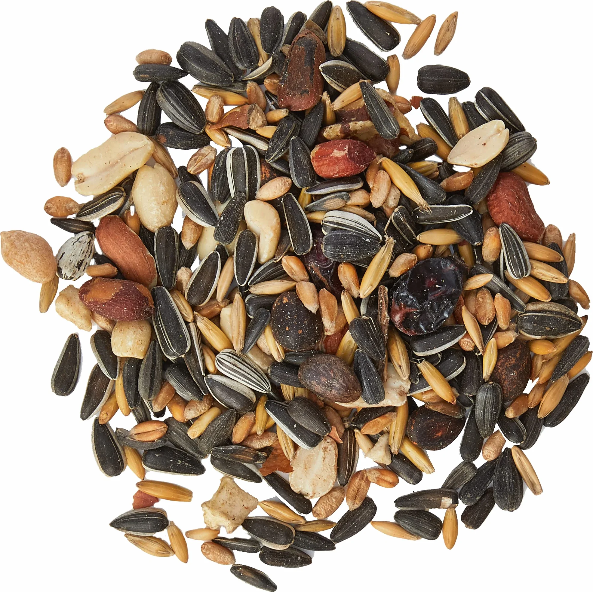Mr Johnsons Wild Life Alimentation pour écureuils, 900 g