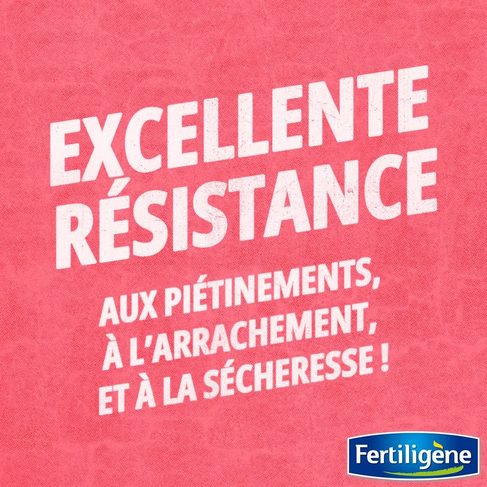 FERTILIGÈNE Gazon Super Résistant Label Rouge 1kg (40m²) – Haute Résistance Piétinement & Sécheresse