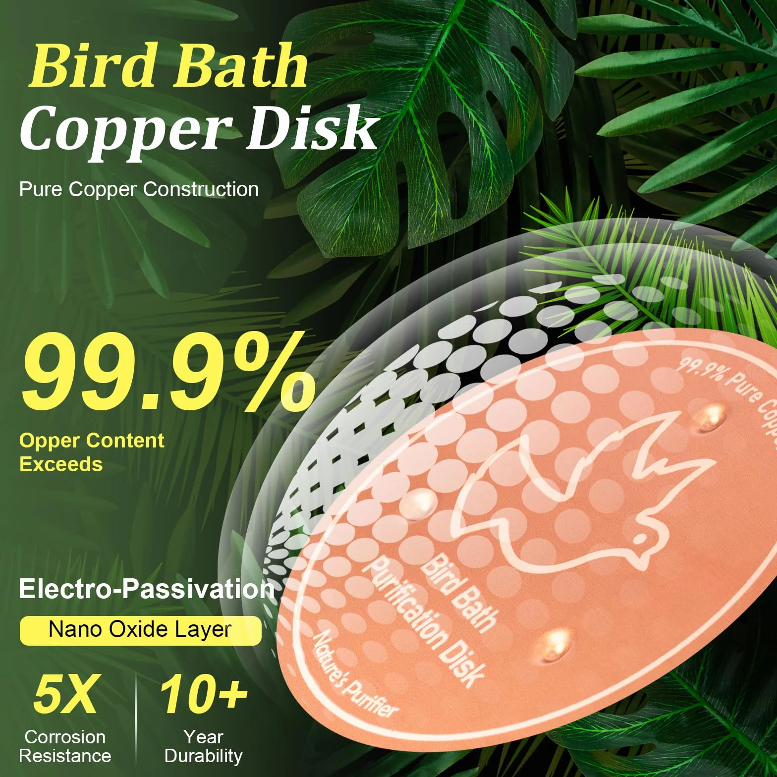 Disque de nettoyage en cuivre pur 99,99% 100 mm pour bain d'oiseaux, renforcé 0,6 mm