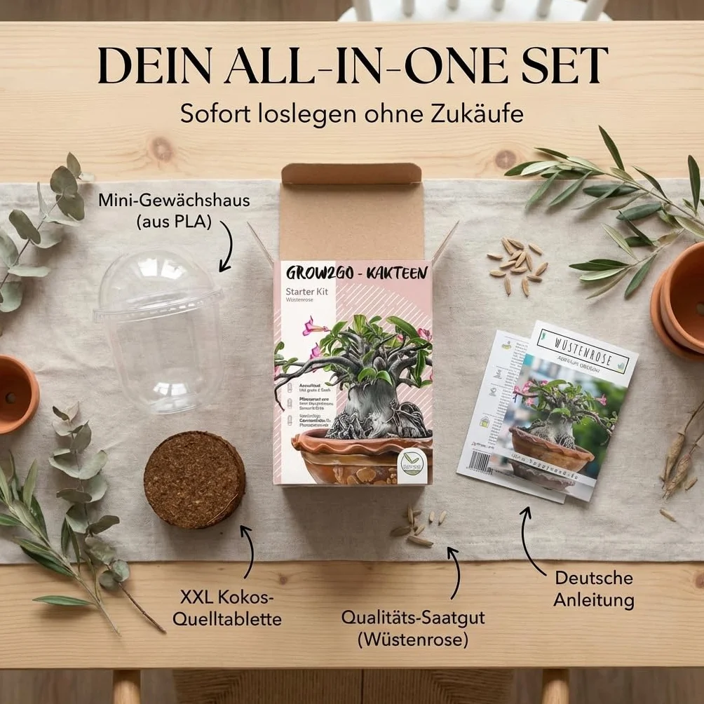 GROW2GO Kit de culture de cactus - Set de plantation mini-serre avec graines et terreau