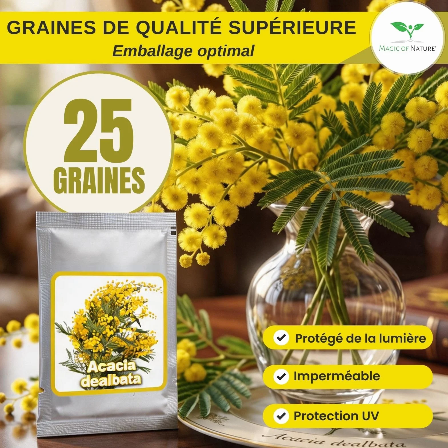Graines de Mimosa d'Hiver Acacia dealbata – 25 pces – Arbuste Exotique aux Fleurs Jaunes