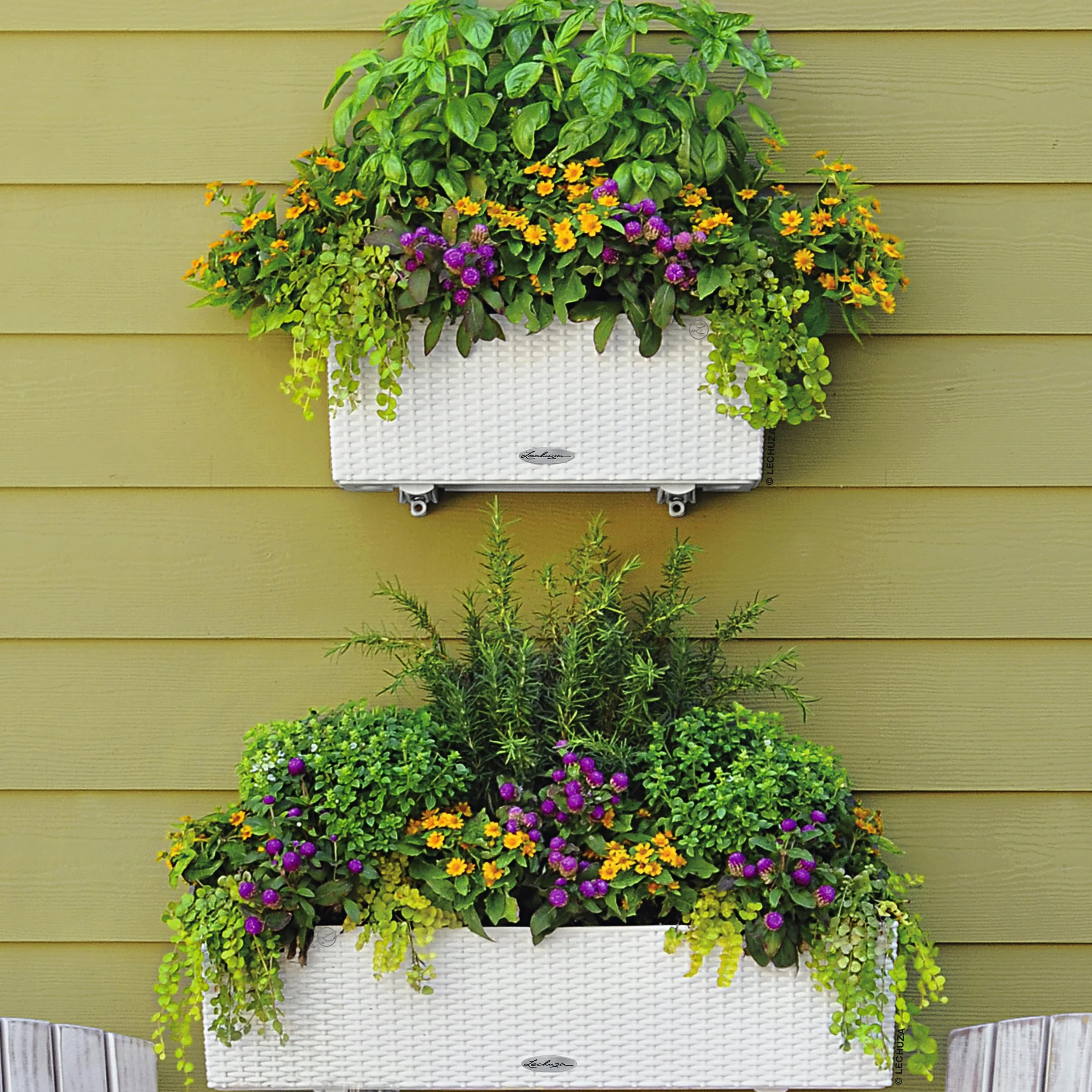 Lechuza Balconera Pot de Fleurs Extérieur Intérieur Réserve d'Eau Blanc 50 x 19 x 19 cm