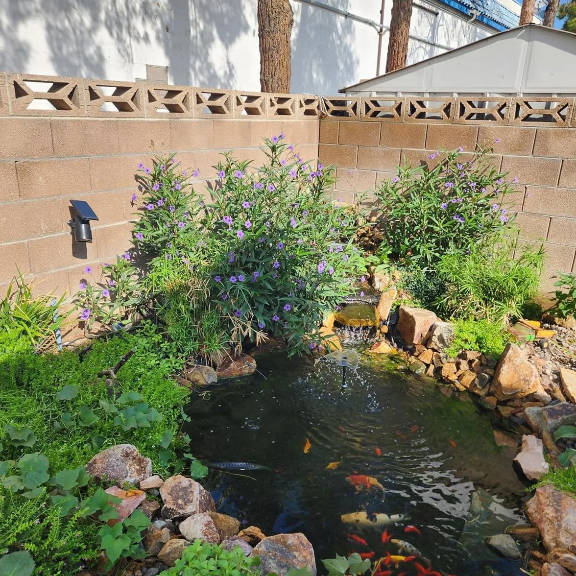 Bâche de bassin noire 10 x 10 m résistante aux UV 5 mm épaisseur pour bassin