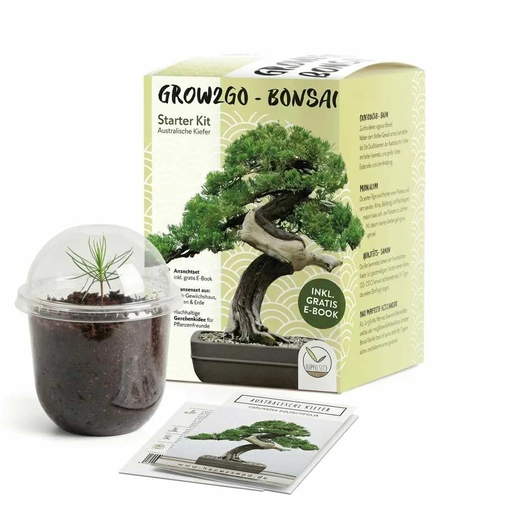 Kit Bonsai GROW2GO avec mini-serre, graines et terre - Pin Australien