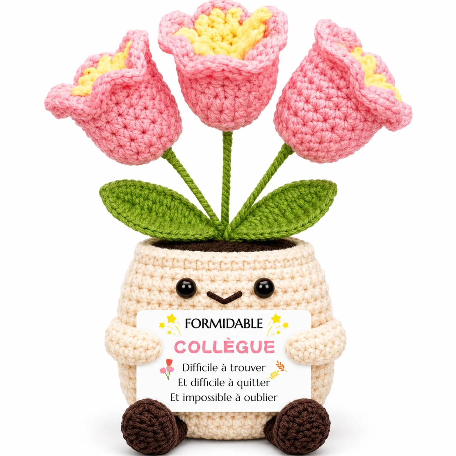 Pot De Fleurs Au Crochet Cadeau Collegue Femme Anniversaire Idée Depart Retraite Message Présent Elle Déco Bureau Unique Noël Fête