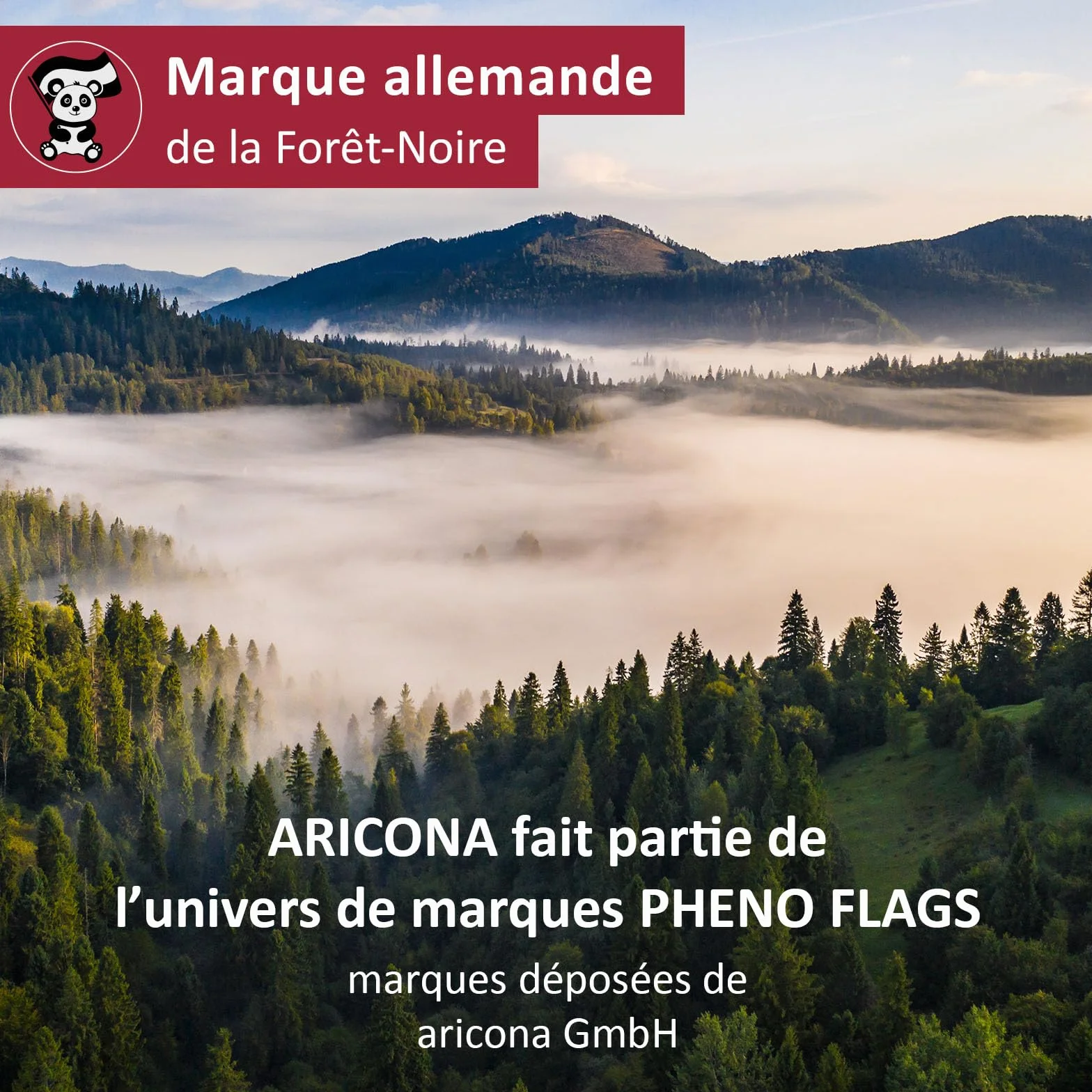 Aricona Drapeau France 90x150cm résistant aux intempéries polyester œillets laiton extérieur
