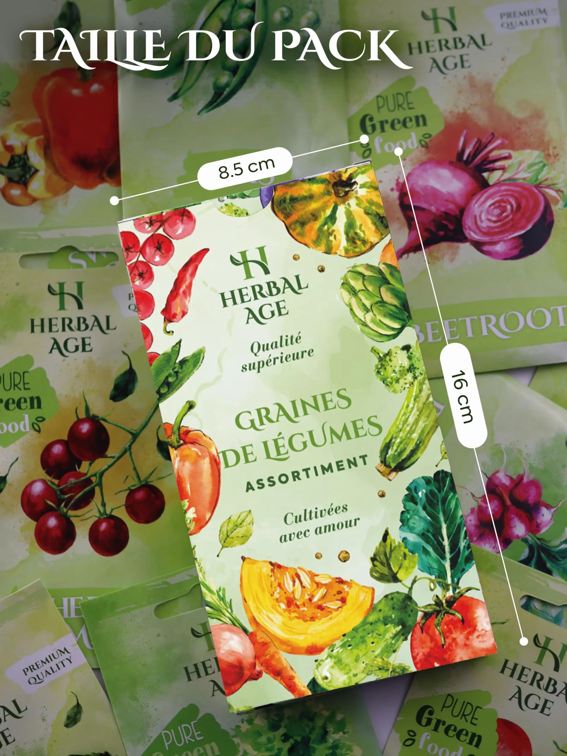 Kit De Plantation De Légumes 12 Variétés 5100 Graines Potager Cadeau Jardinage