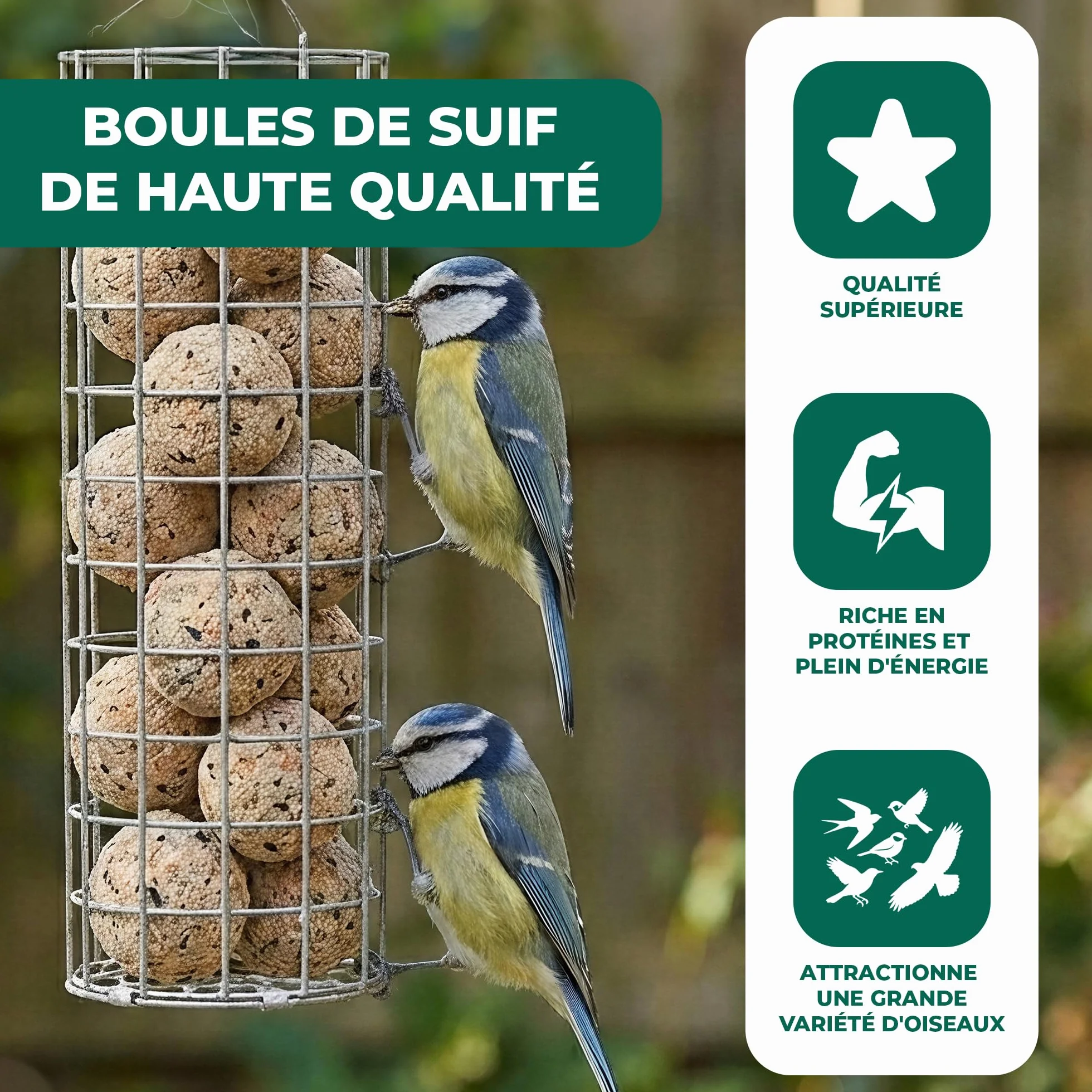 Boules de Graisse GardenersDream Friandises énergétiques pour Oiseaux Sauvages 300 pièces