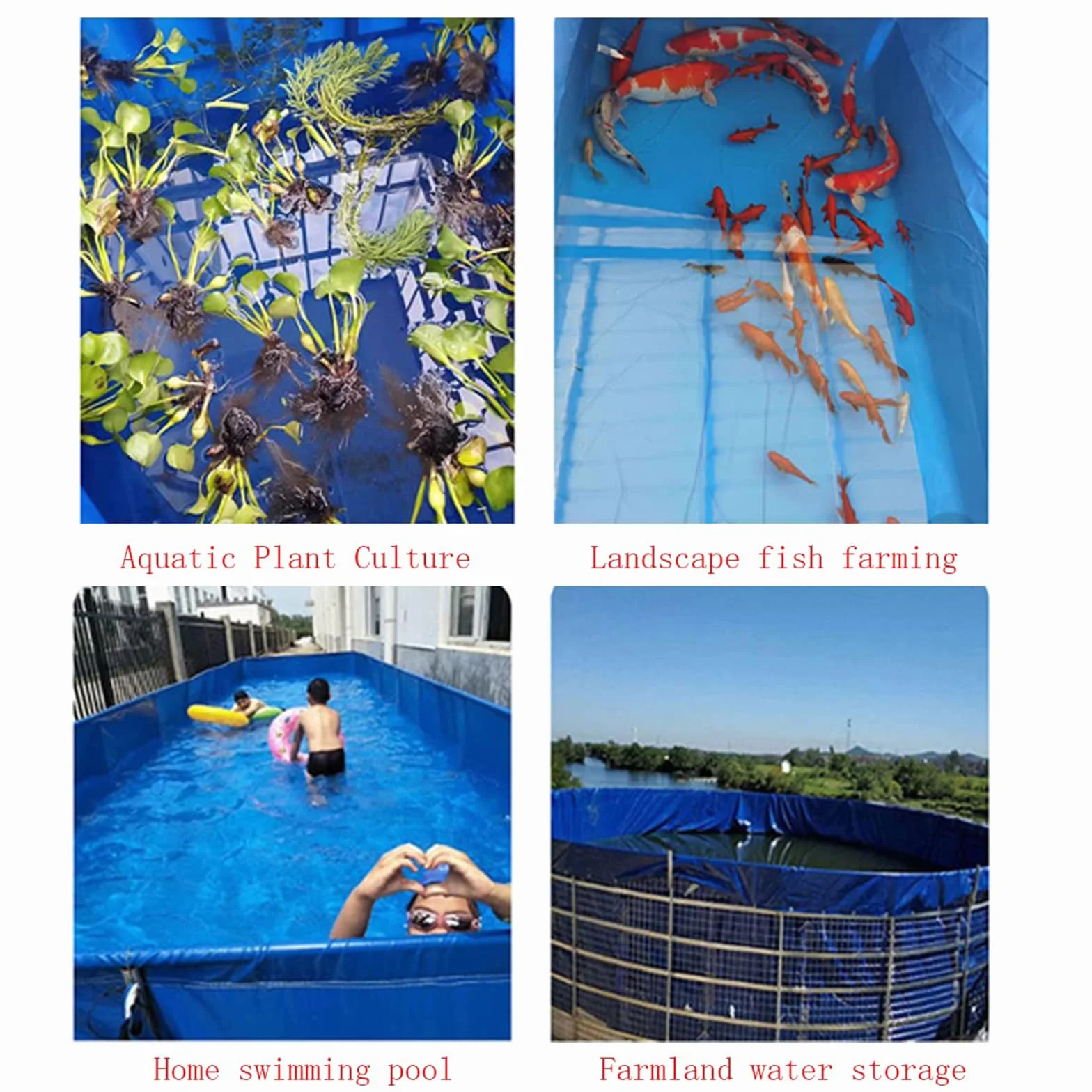 Bassin À Poissons en Toile 100x100x100cm Pliable Grande Piscine Aquaculture pour Koï et Jardin