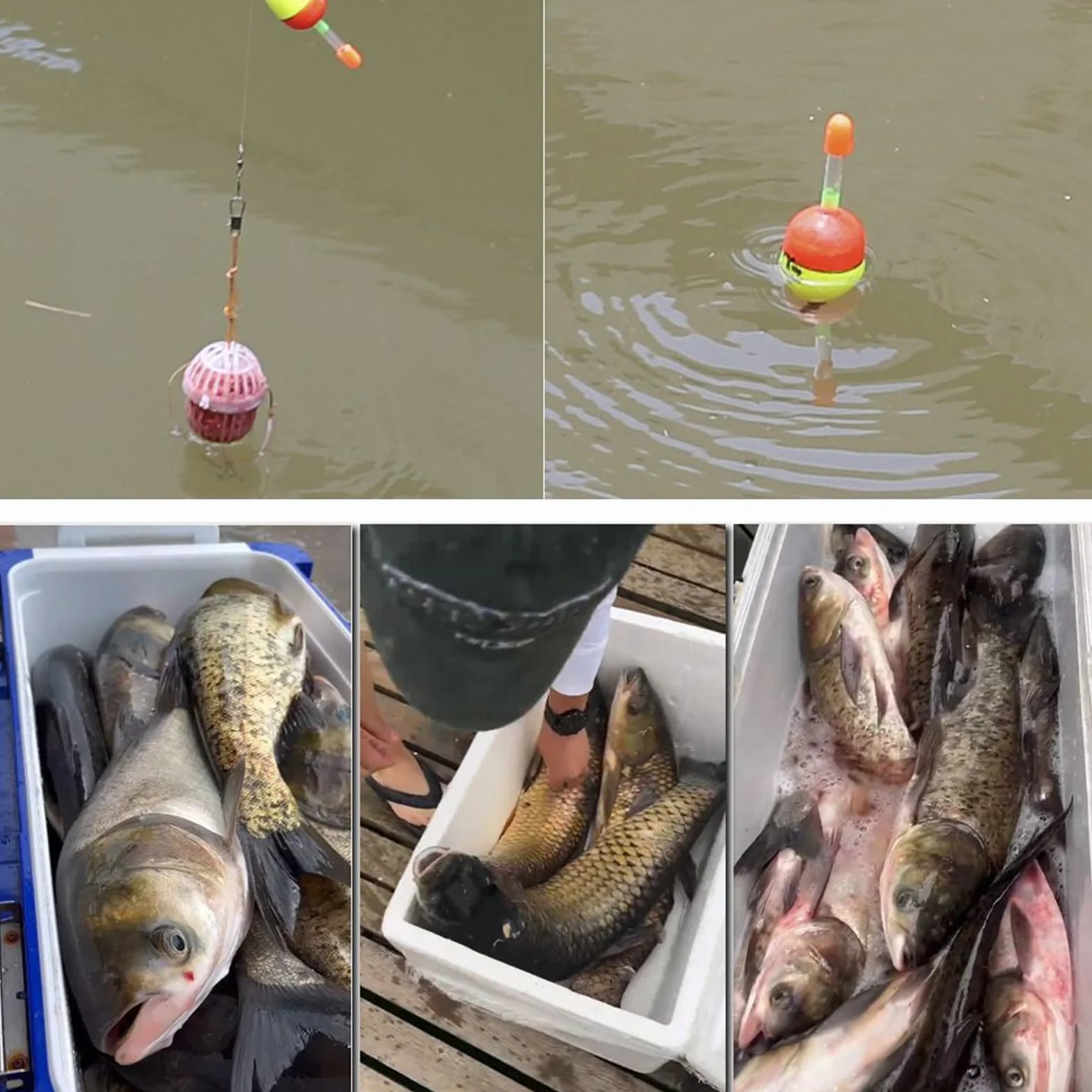 Canne à pêche télescopique 180 cm Junior set avec moulinet portable