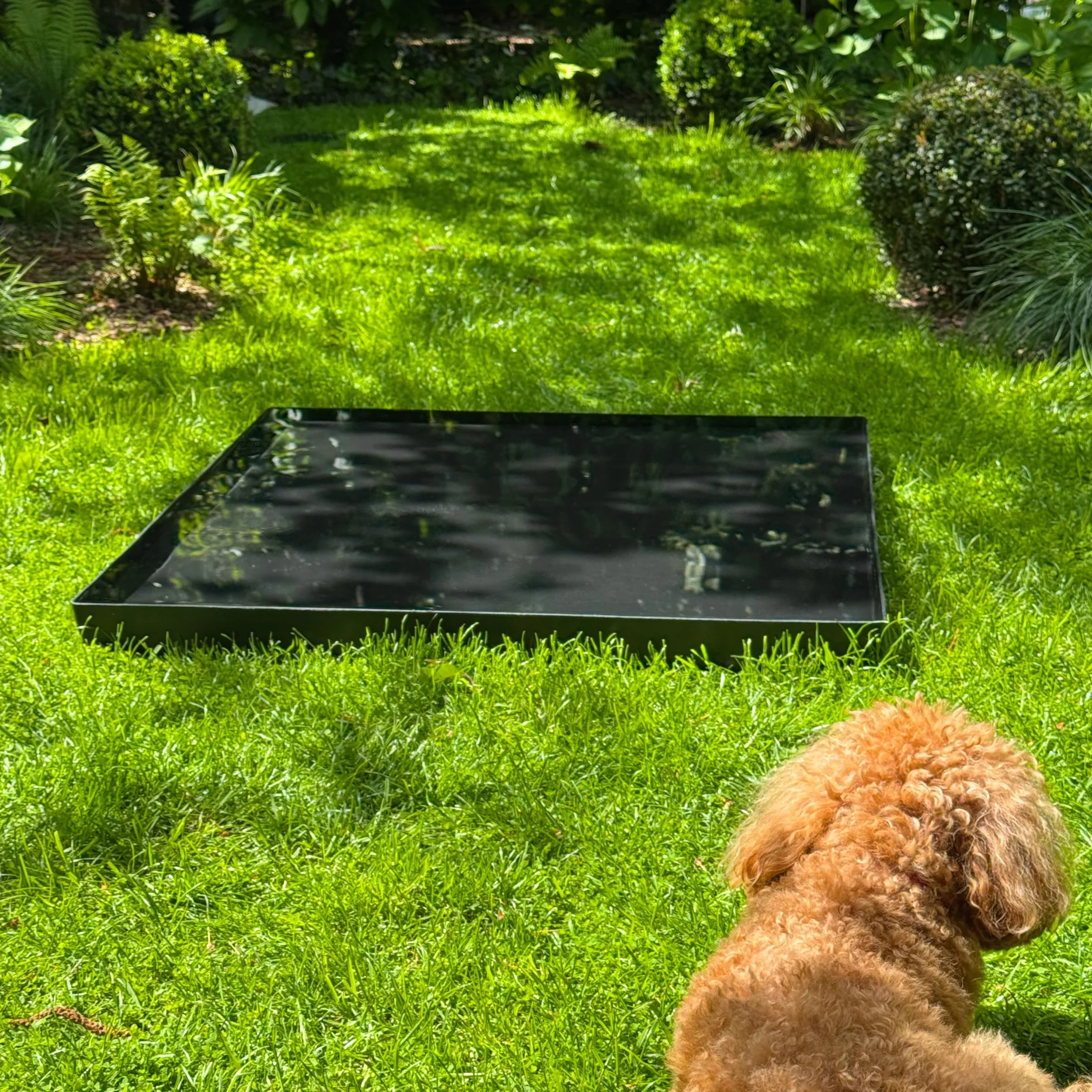 Bassin de Jardin Carré 80 cm, Miroir d'Eau Décoratif pour Terrasse et Pelouse
