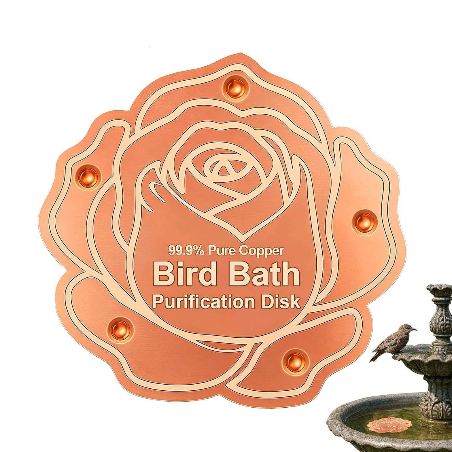 Disque de Purification en cuivre Design autonettoyant pour Garder l'eau fraîche Purification Toutes Saisons