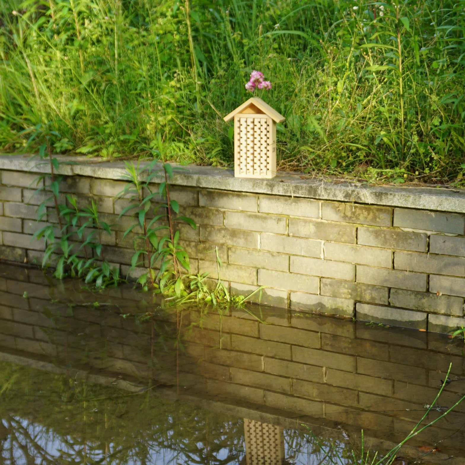 Maison pour abeilles Mason - Hôtel à insectes - Maison de charpentier pour le jardin