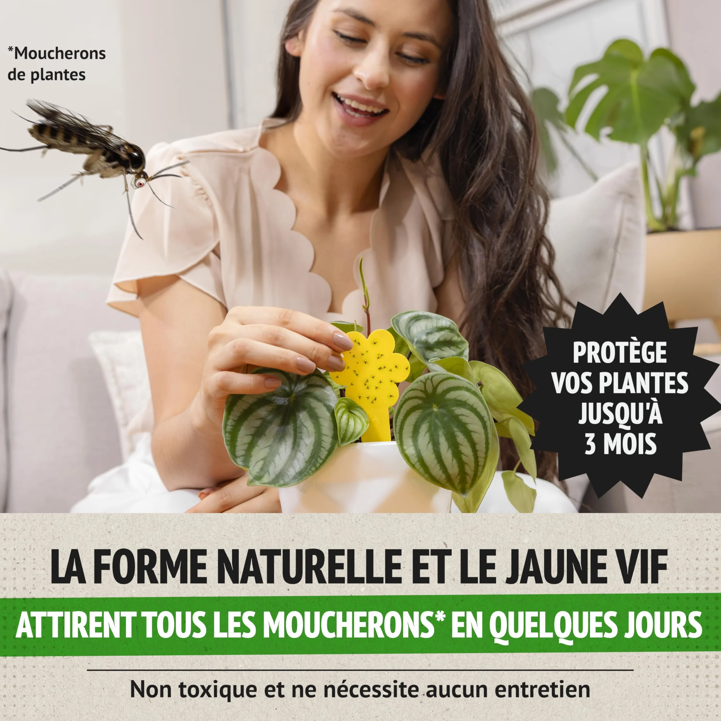 Anti Moucherons Intérieur Plantes, 10 Pièges Jaunes Collants Non Toxiques, Piège Moucherons Ultra Efficace