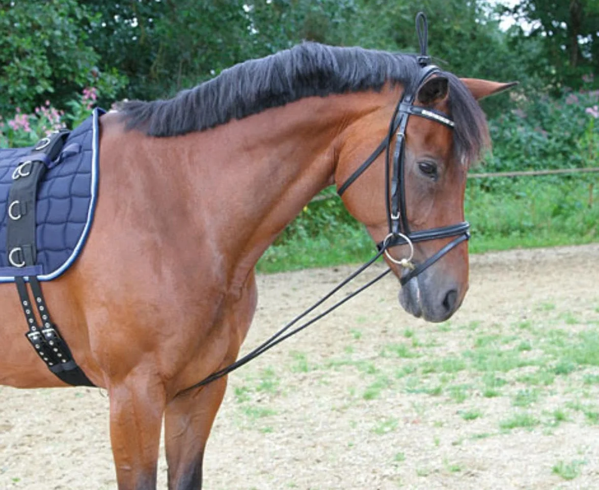 KERBL Enrênement Élastique pour Cheval