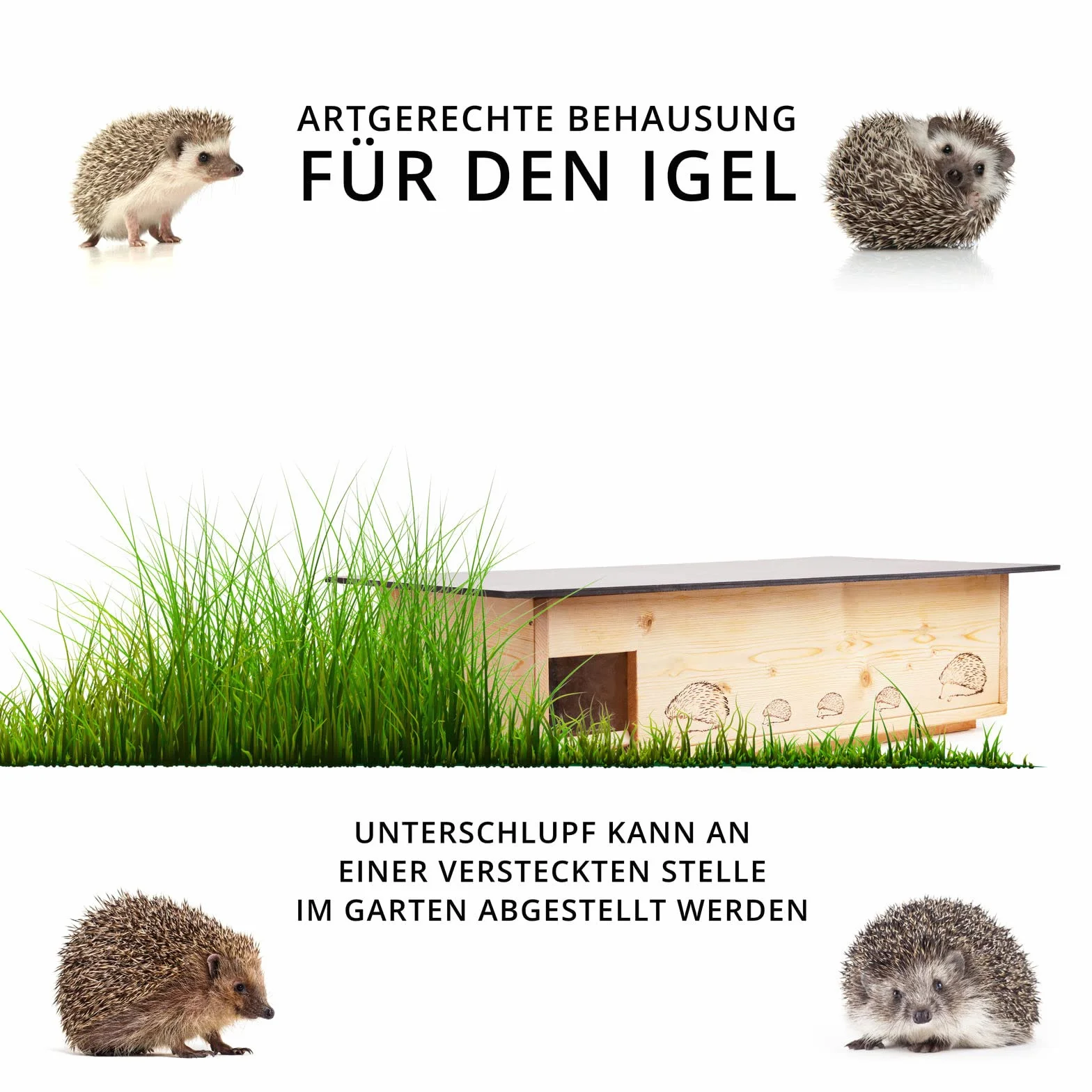 Hôtel pour hérisson XXXL avec entrée labyrinthe et clapet pour rats - fond et toit amovible - 2 mangeoires