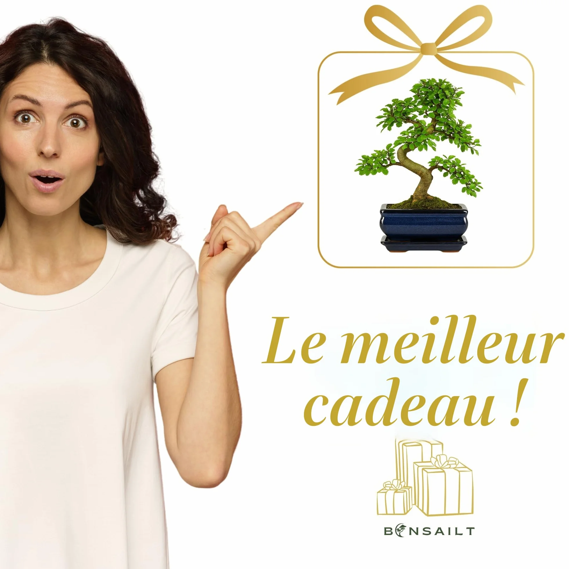 Ulmus parvifolia Bonsaï – Orme chinois 8-10 ans – Pot 20 cm – Bonsaï d'intérieur avec soucoupe