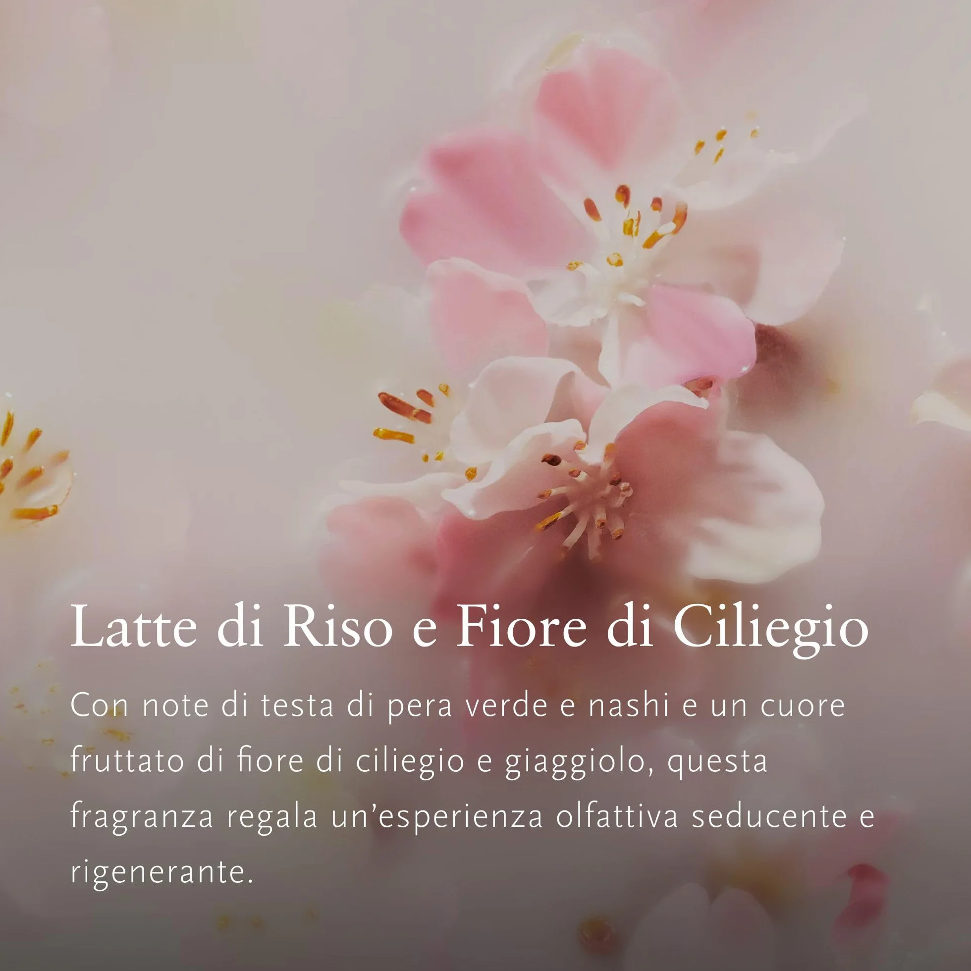 Rituals Diffuseur de Parfum Recharge Sakura 2x250 ML Bâtons parfumés Fleur de Cerisier Lait de Riz